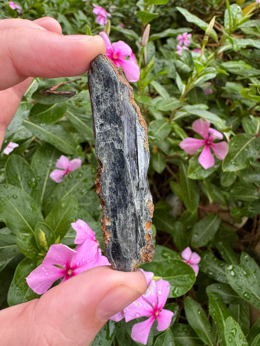 Vivianite Blade (12g)