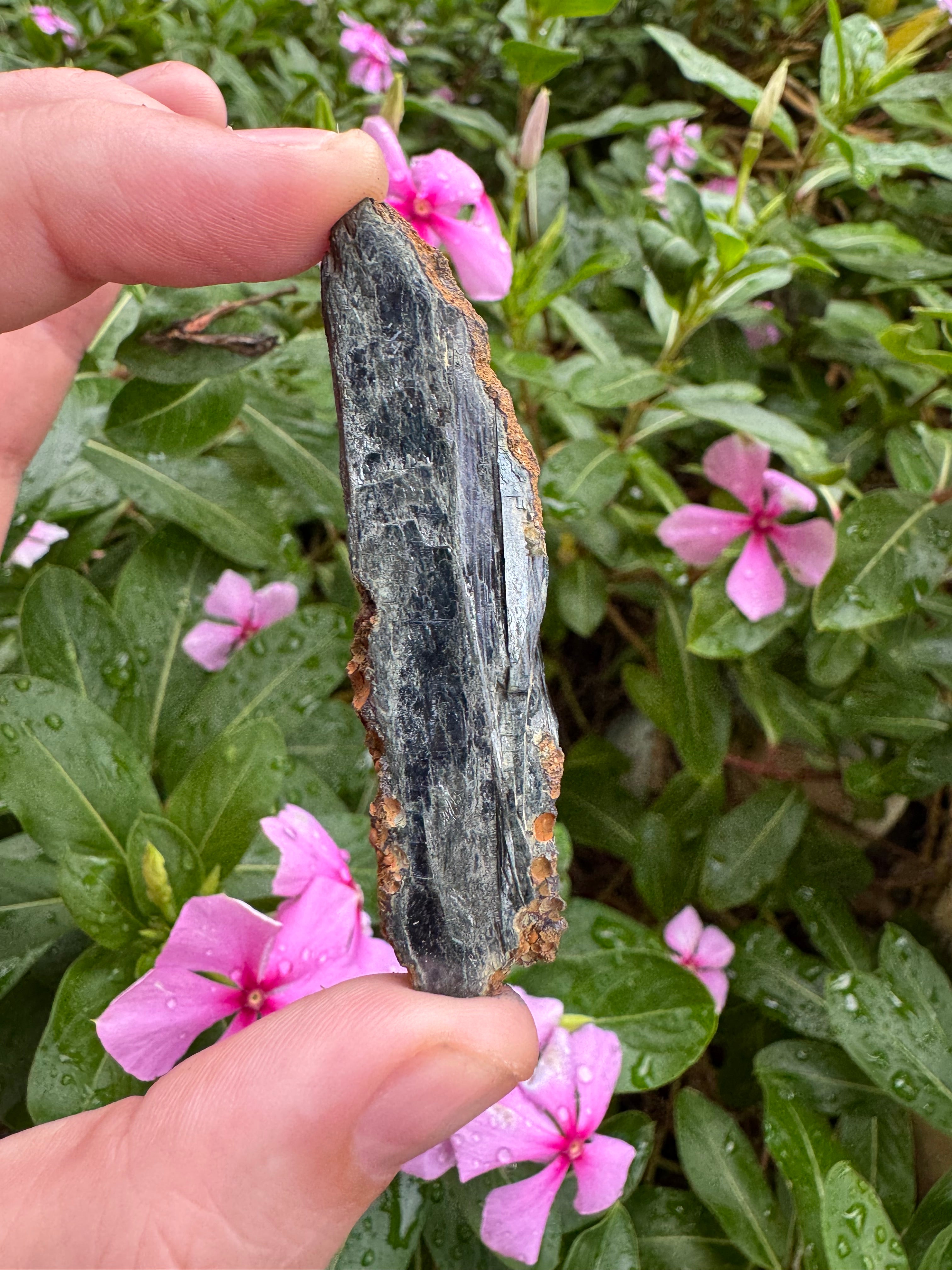 Vivianite Blade (12g)