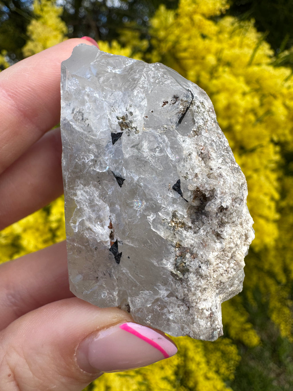 Black Tourmaline In Quartz Specimen