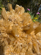 Selenite ‘Gypsum’ Natural Specimen