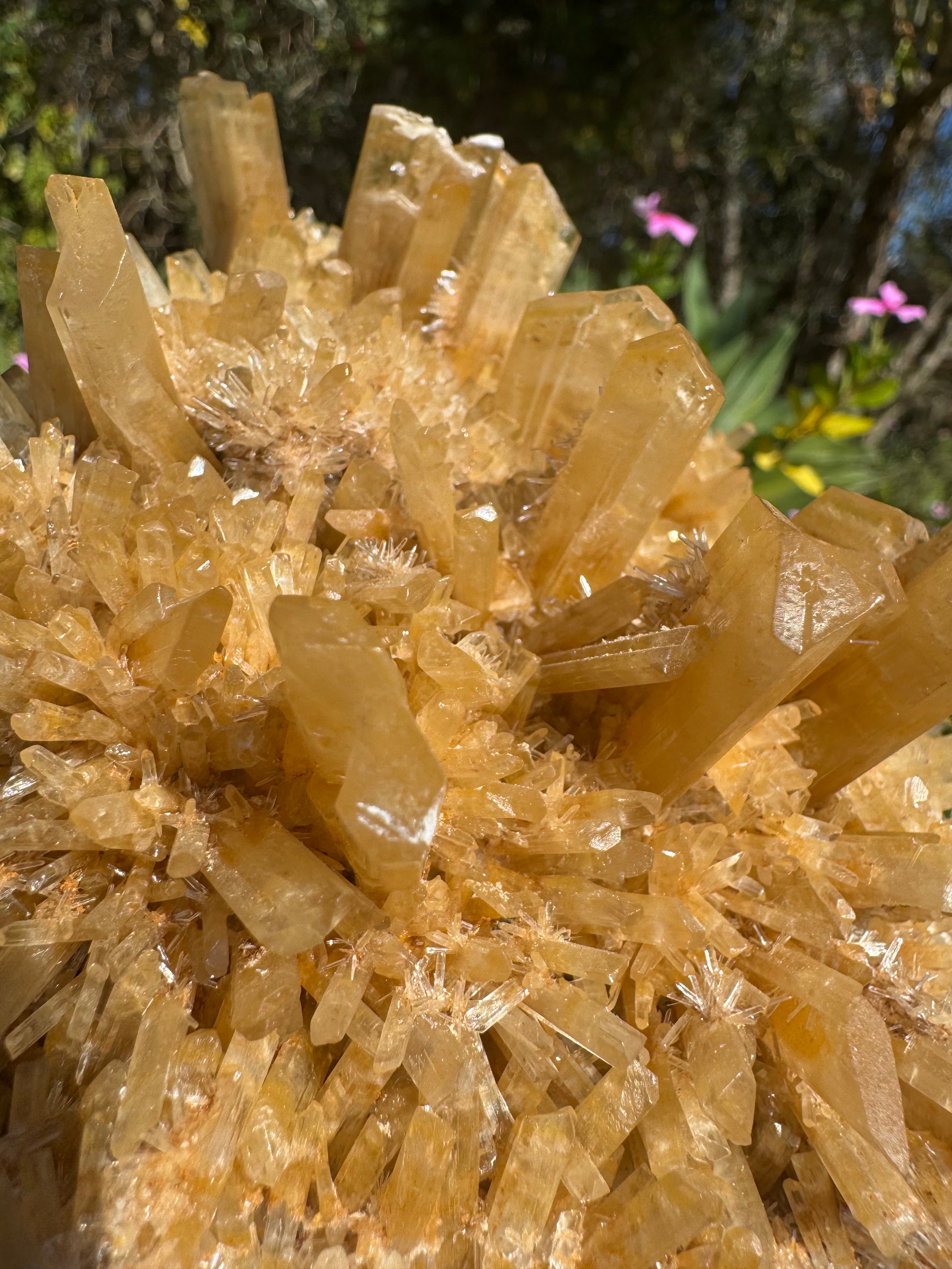 Selenite ‘Gypsum’ Natural Specimen