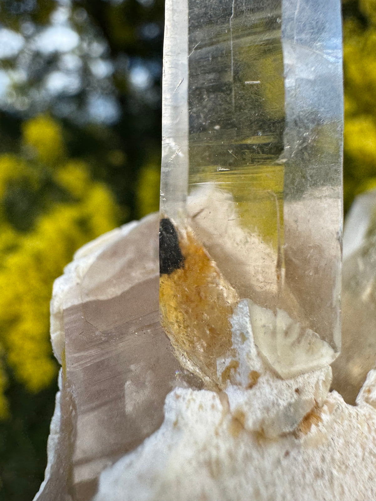Himalayan Rutile-Included Citrine Quartz Cluster on Matrix