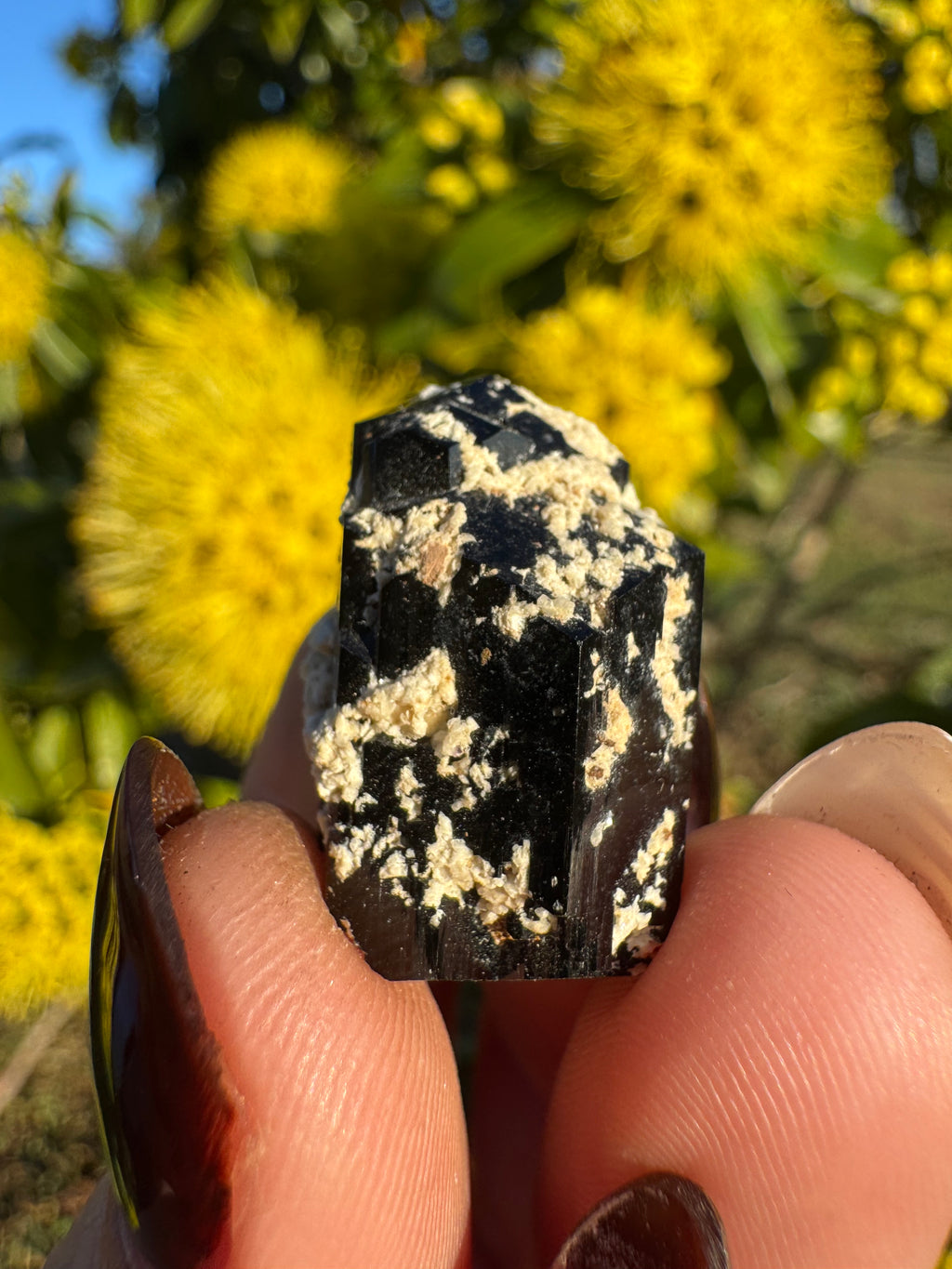 Black Tourmaline With Feldspar Specimen