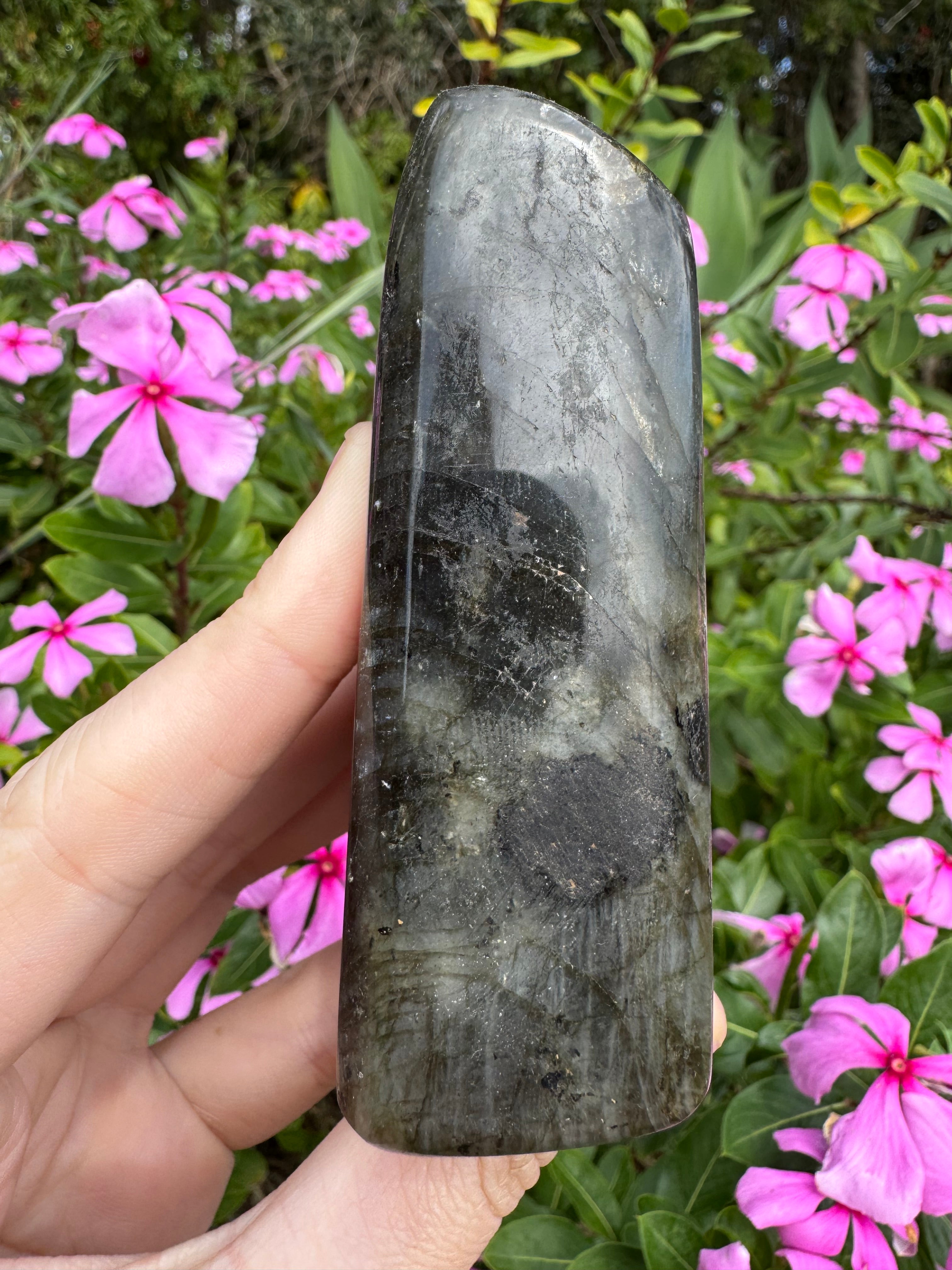 Labradorite Standing Freeform