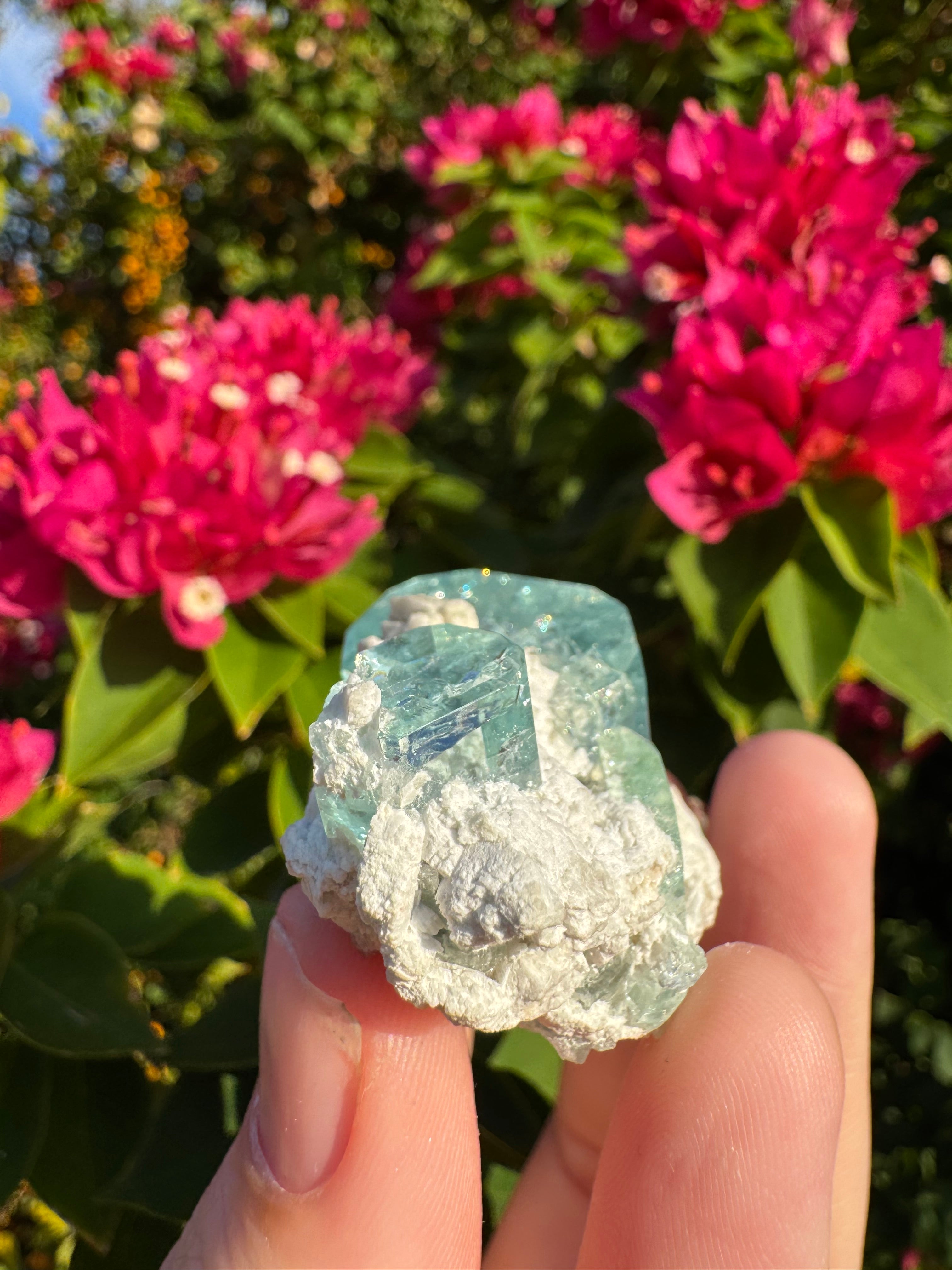 Eronga Aquamarine Specimen - High Quality