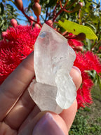 Himalayan Quartz Cluster