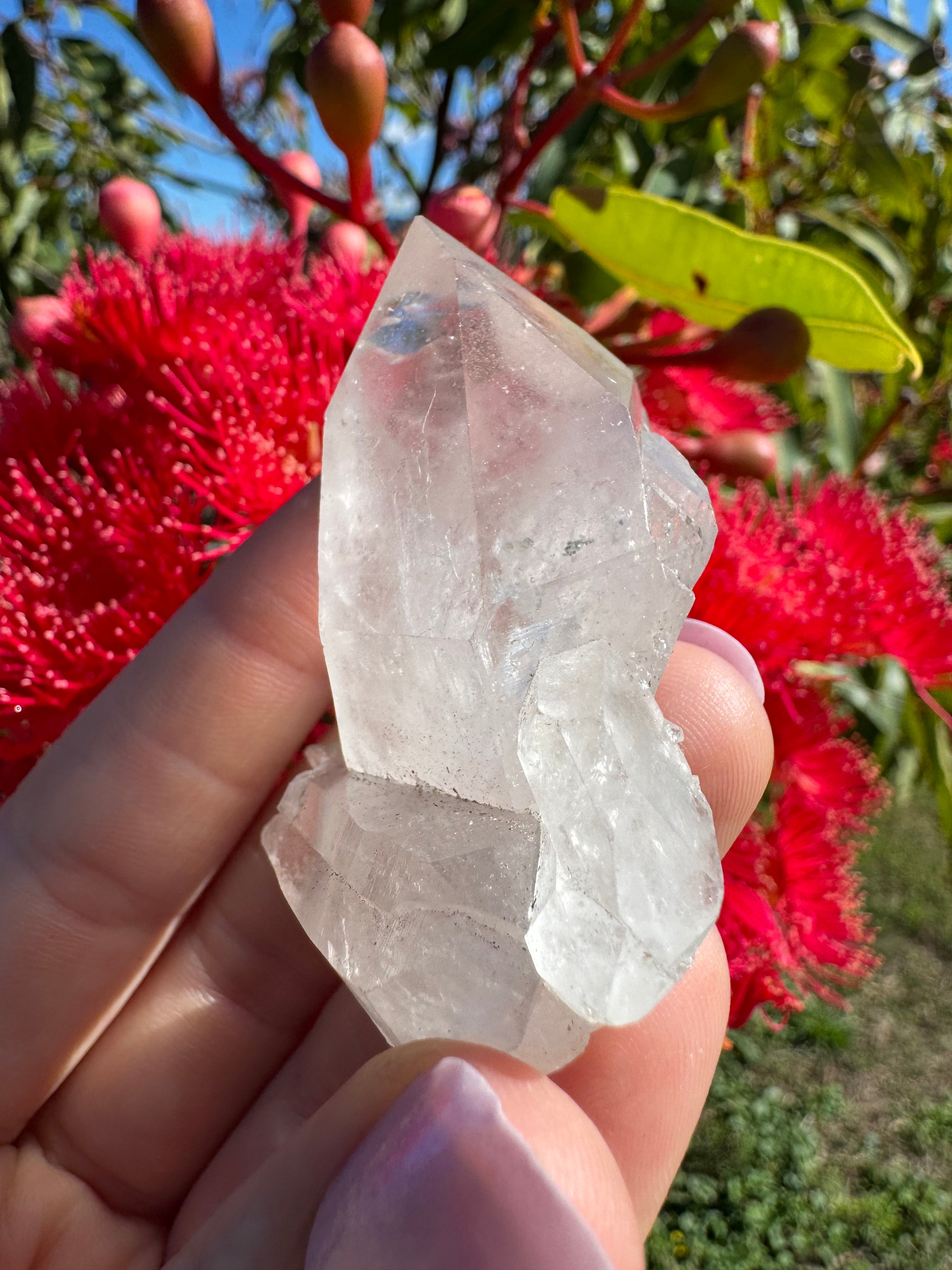 Himalayan Quartz Cluster