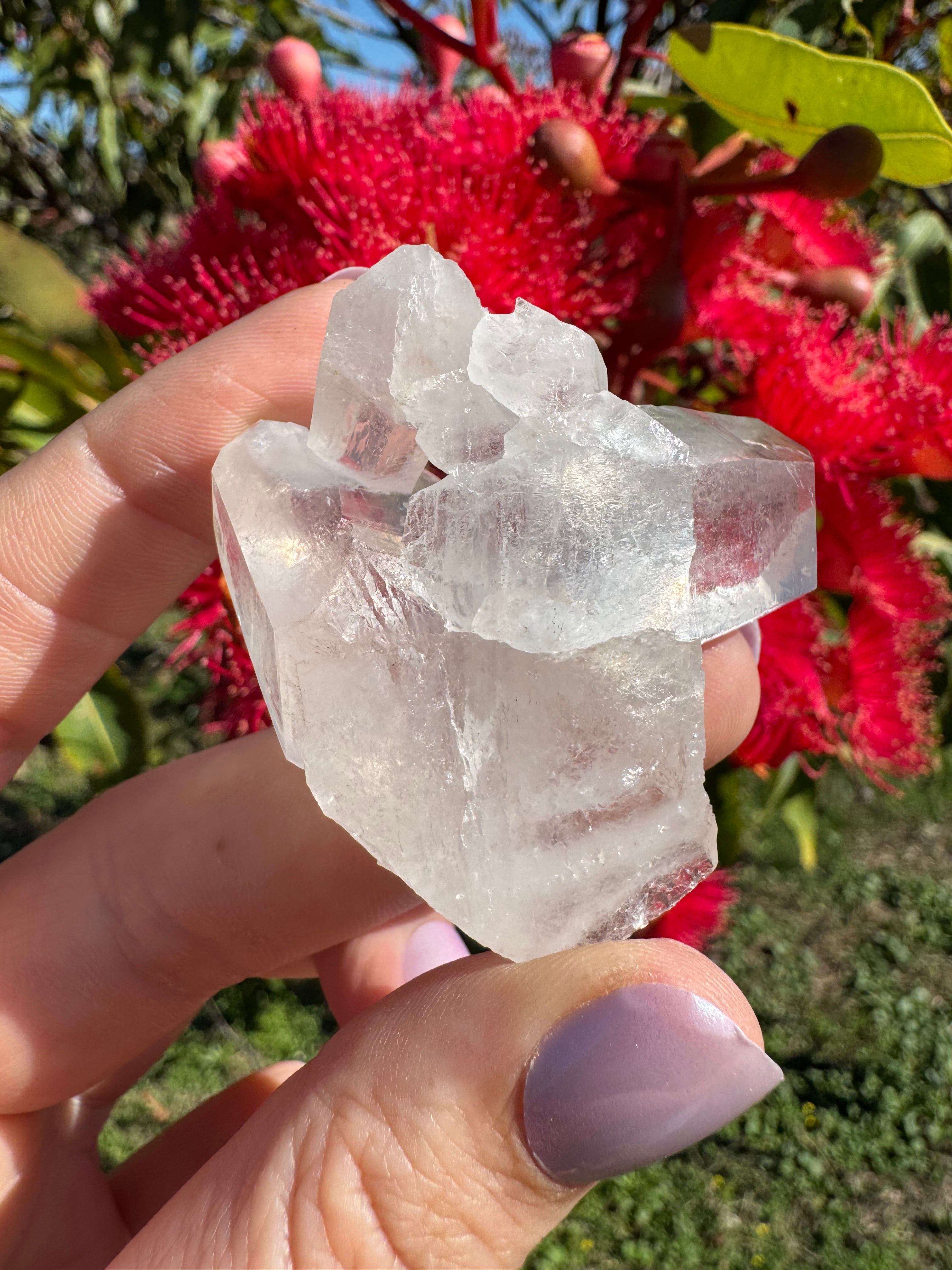 Himalayan Quartz Cluster