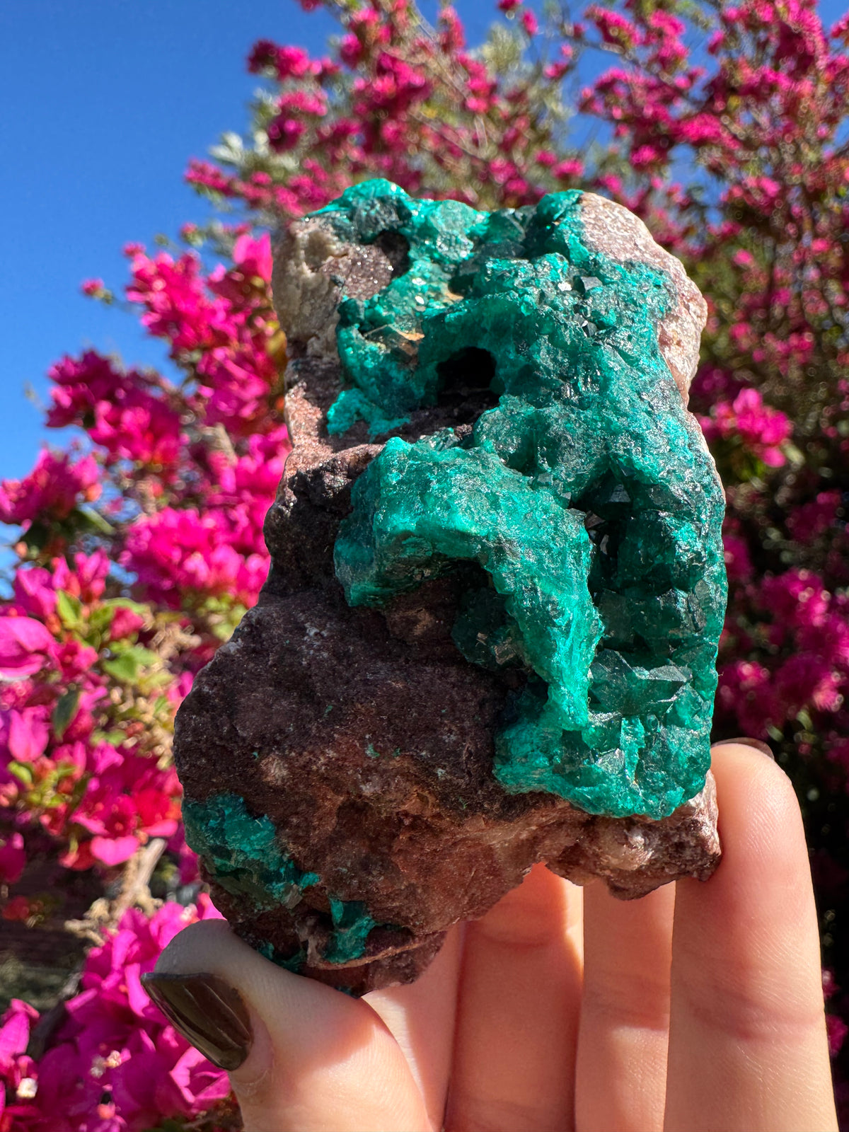 Tsumeb Cubic Dioptase With Quartz Dusting Specimen | High Quality