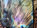 Labradorite Standing Freeform