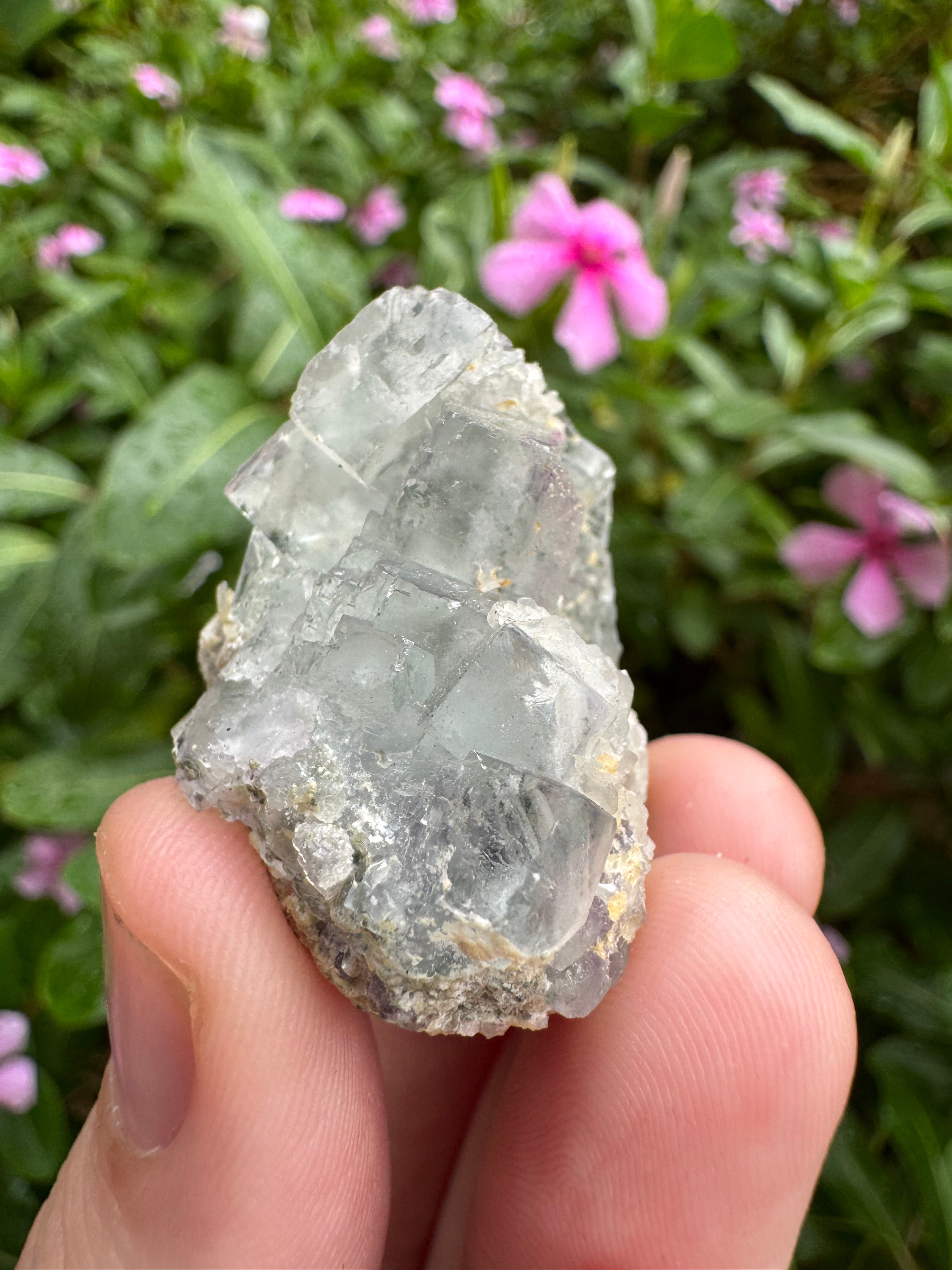 Blue Cubic Fluorite Cluster