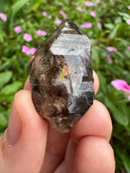 Mooralla Smoky Quartz Cluster