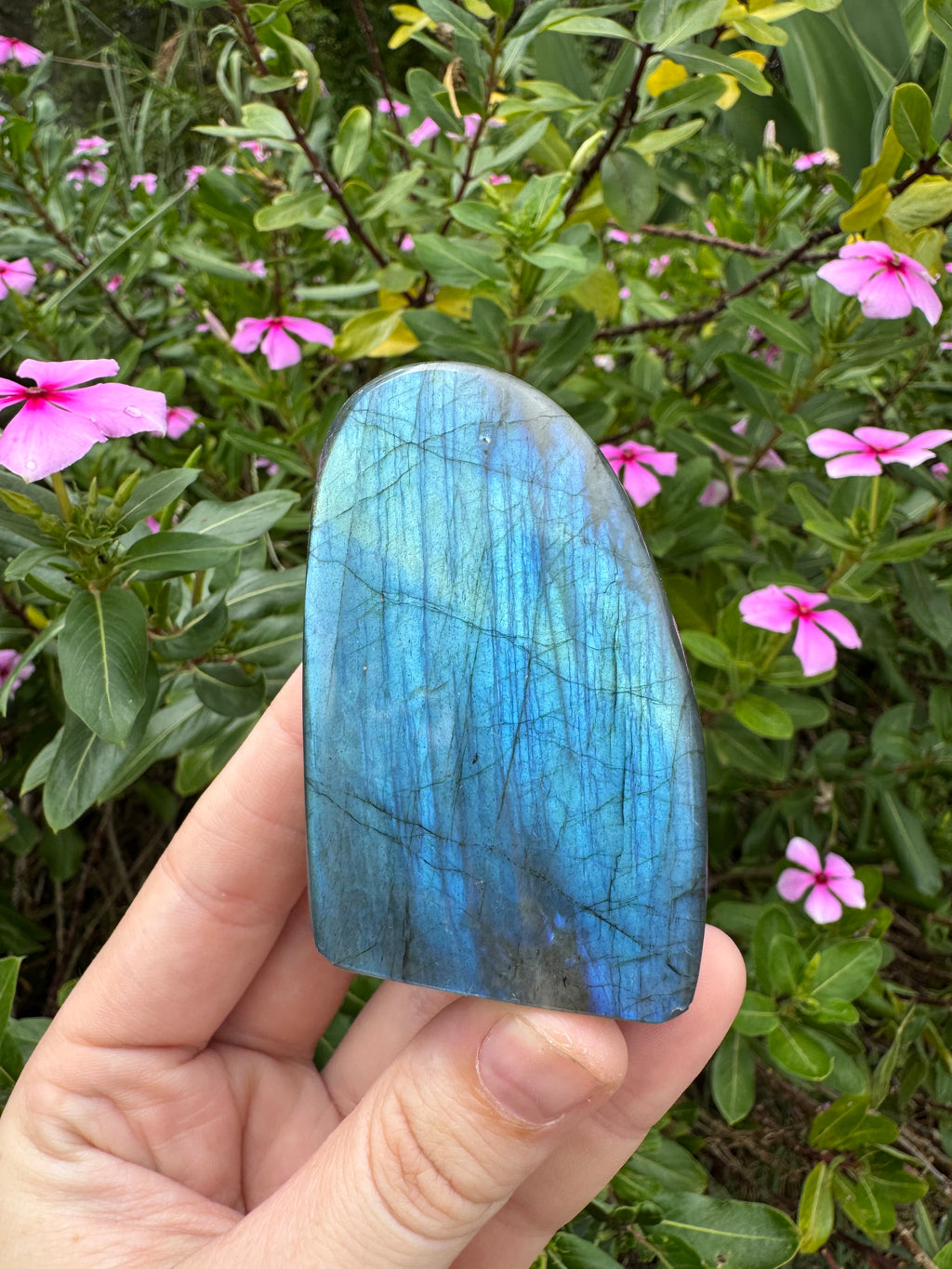 Labradorite Standing Freeform
