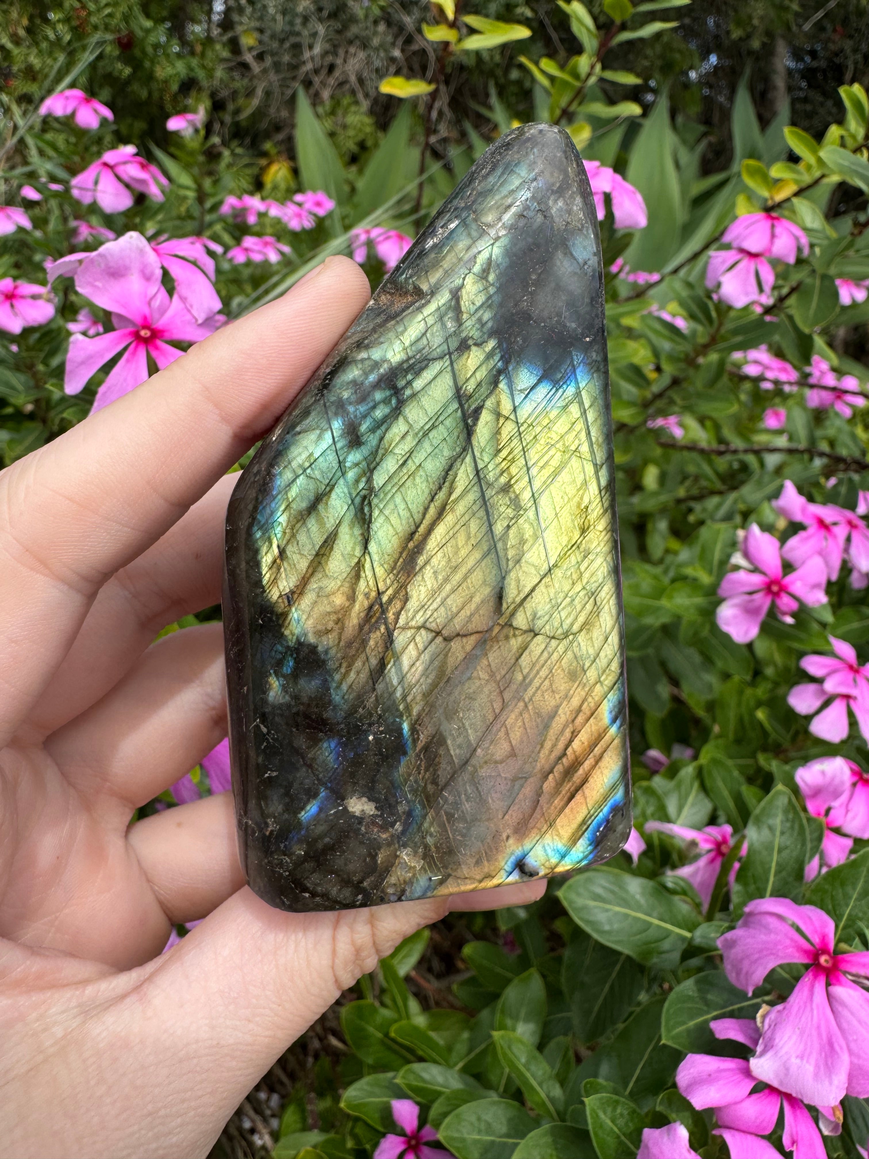 Labradorite Standing Freeform