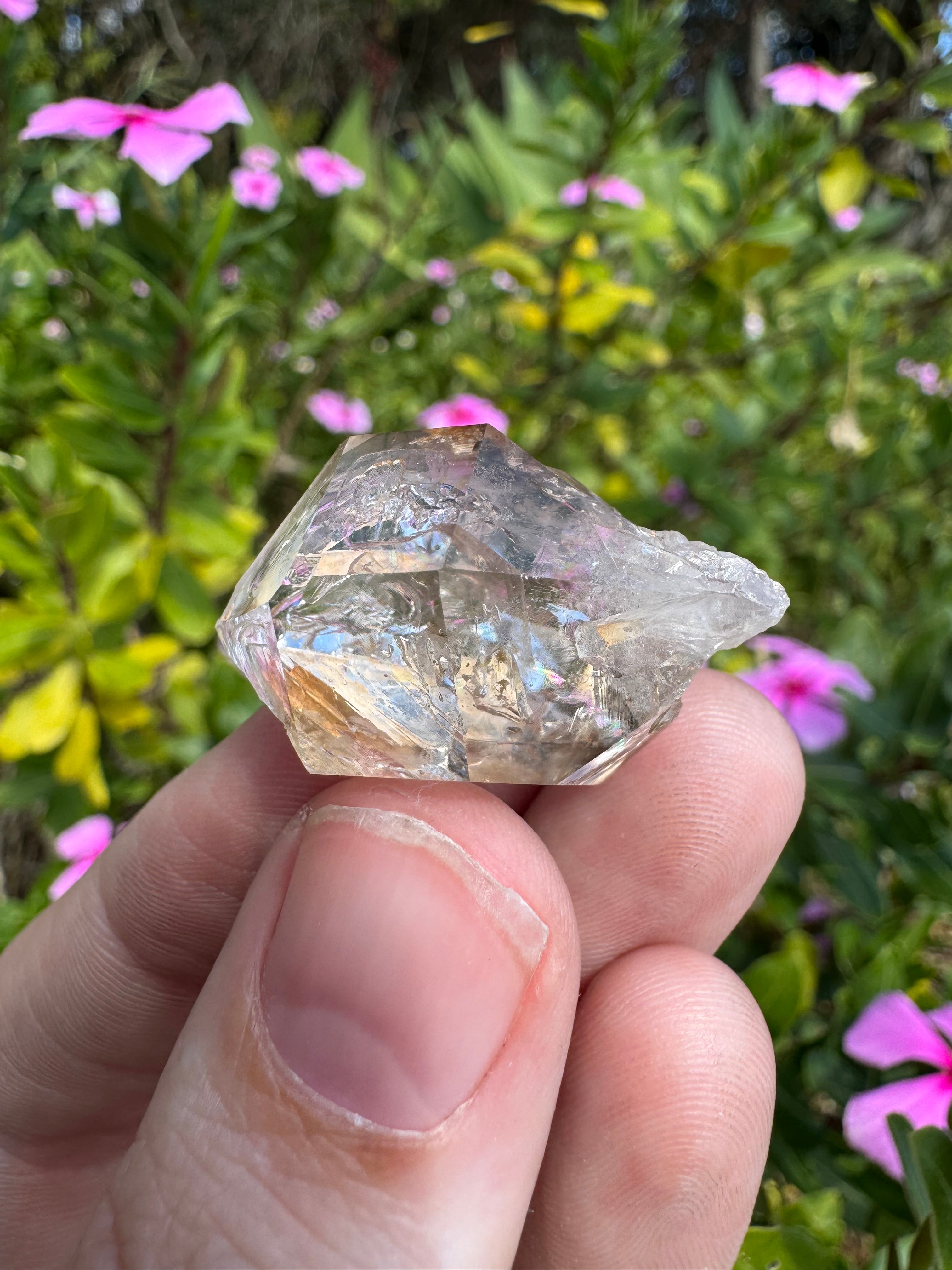 Brandberg Clear Quartz Specimen