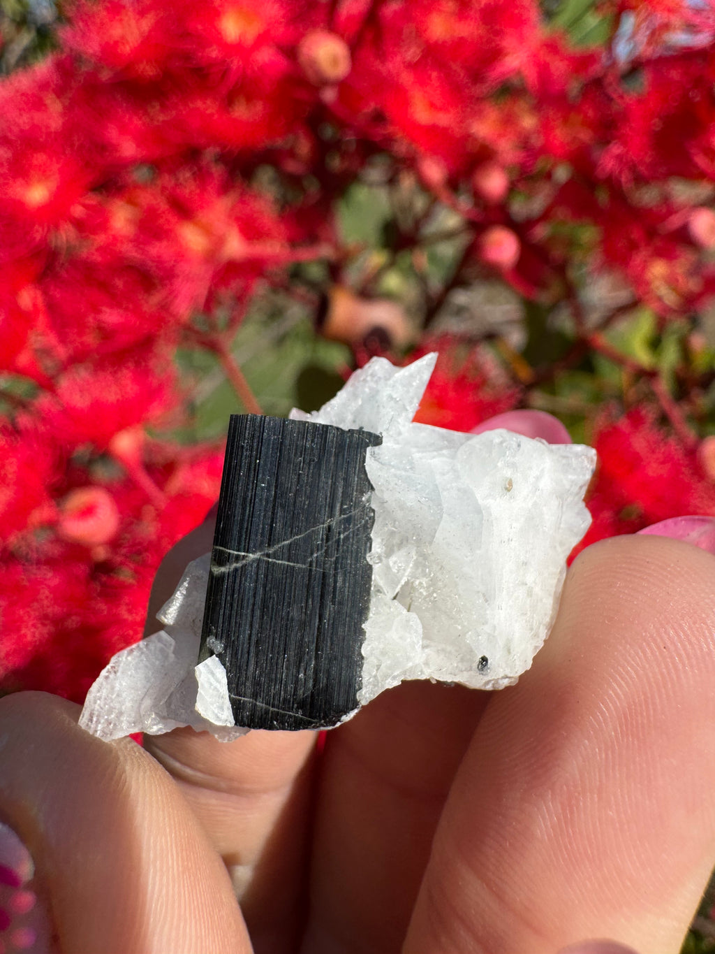 Green Tourmaline and Quartz Specimen - Stak Nala