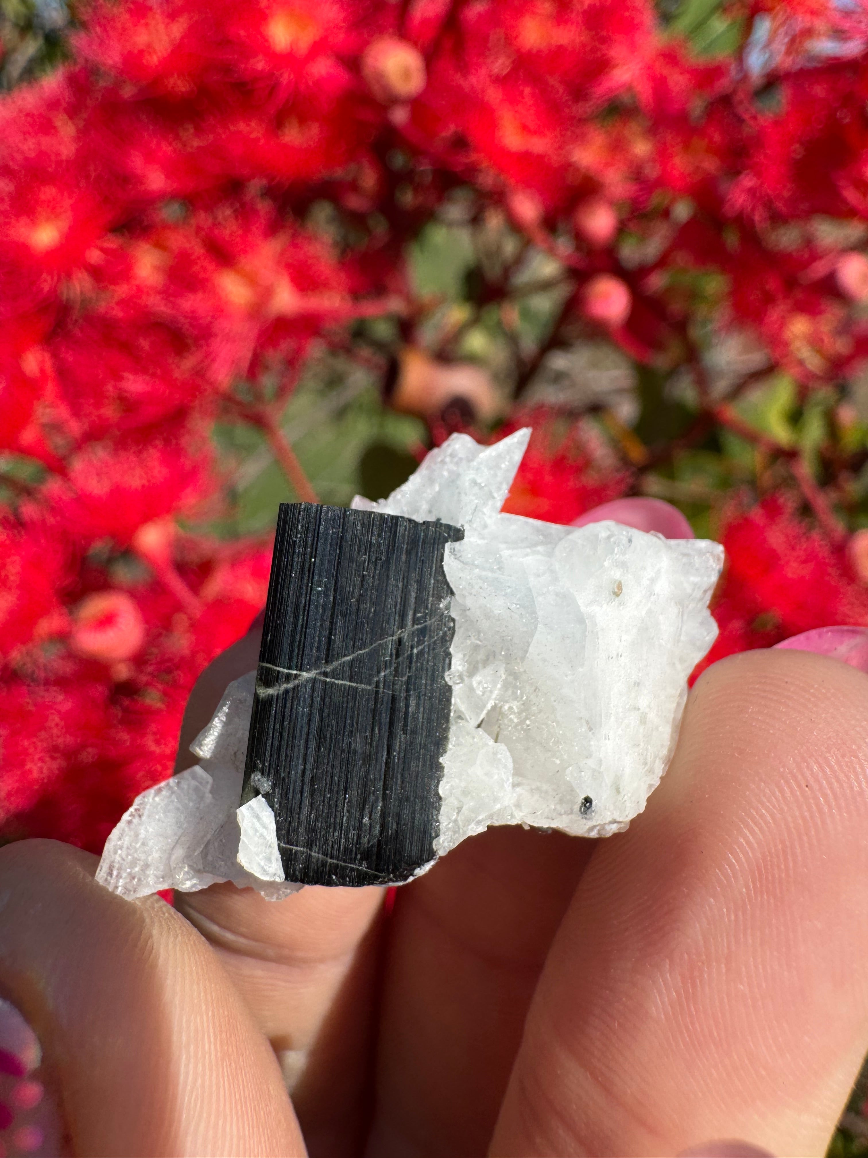 Green Tourmaline and Quartz Specimen - Stak Nala