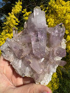 Vera Cruz Amethyst Specimen