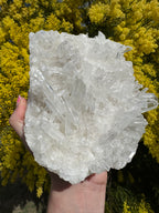 Clear Quartz Cluster