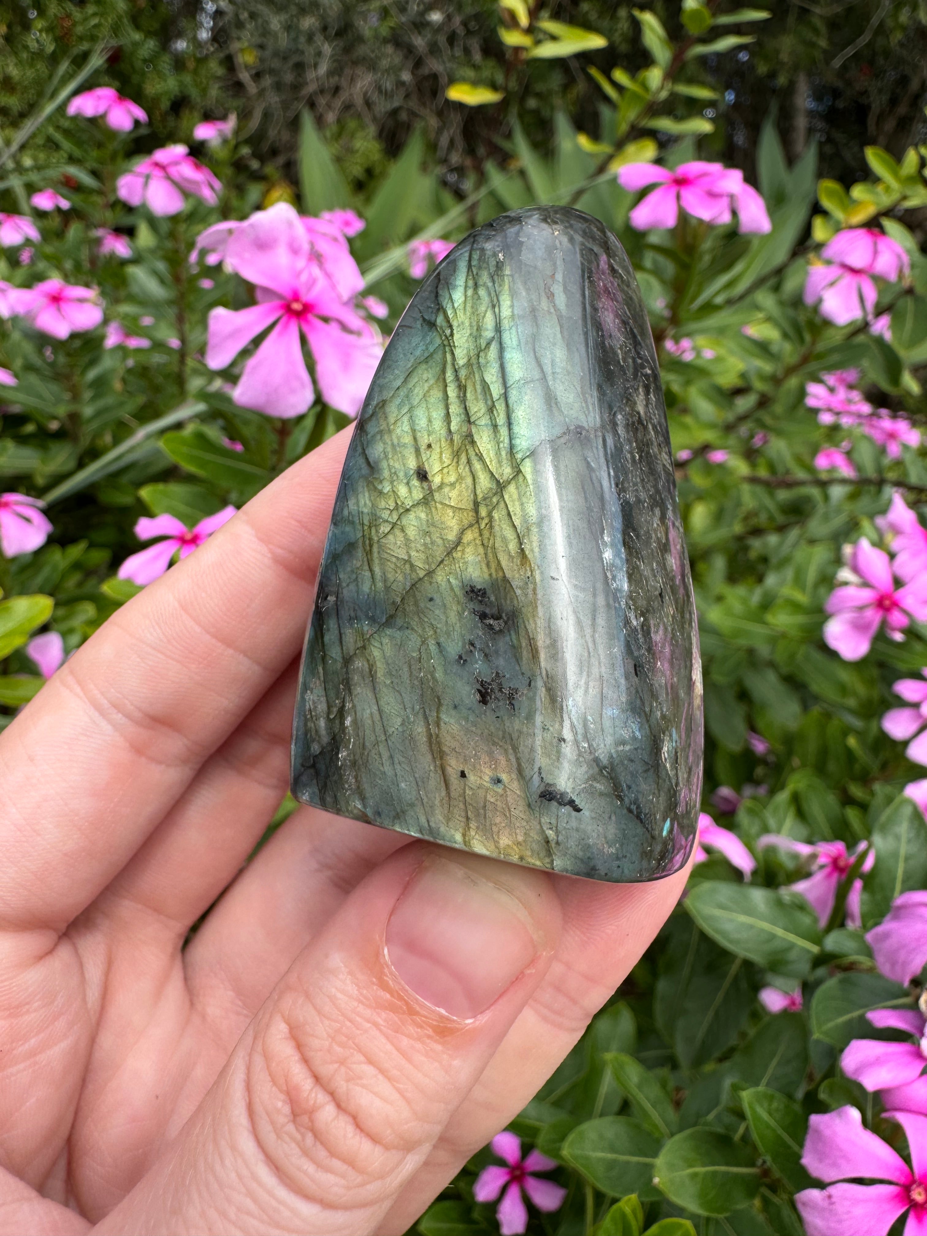 Labradorite Standing Freeform