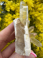 Himalayan Rutile-Included Citrine Quartz Cluster on Matrix
