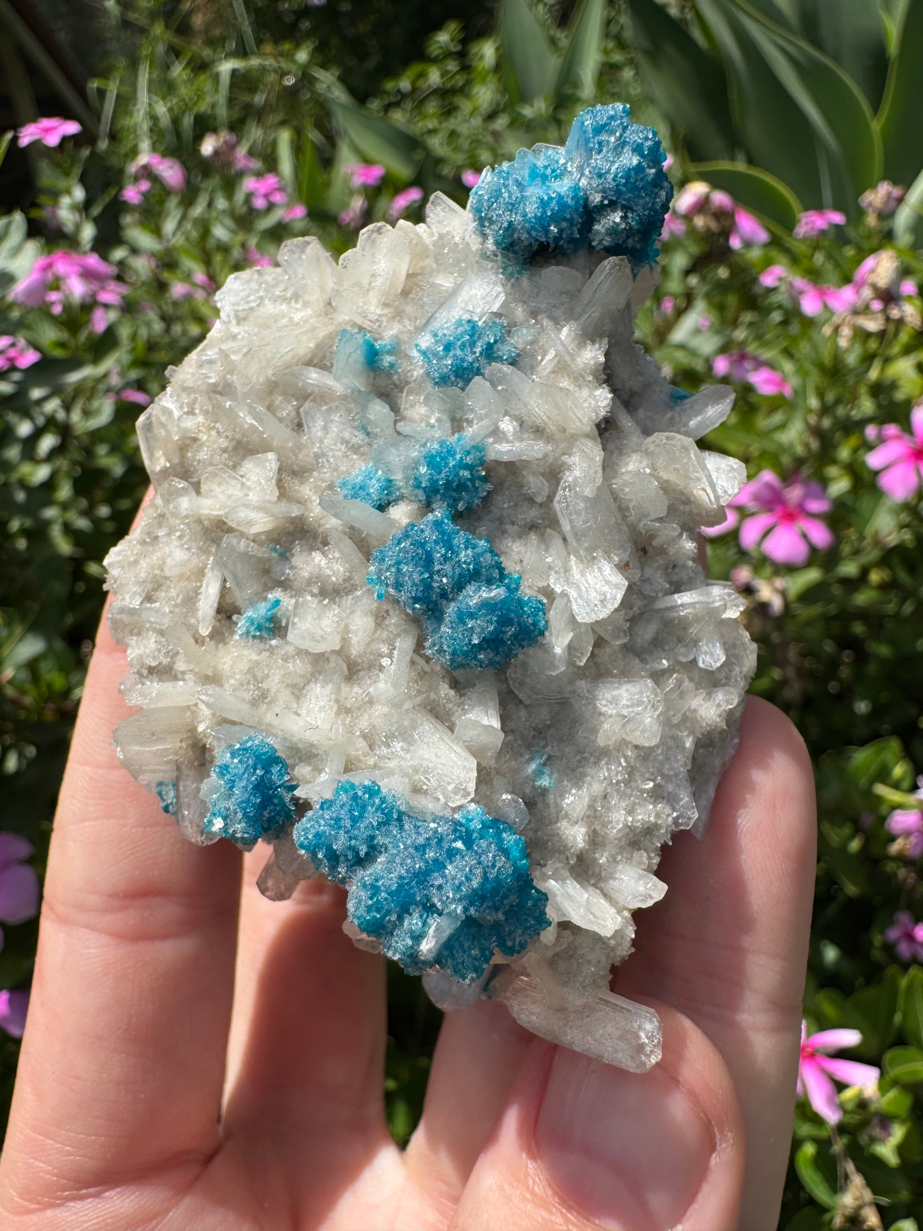 Cavansite On Zeolite Mineral Specimen