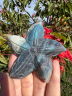 Trollite Starfish Carving