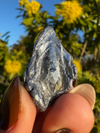 Kingsgate Molybdenite Collector Specimen