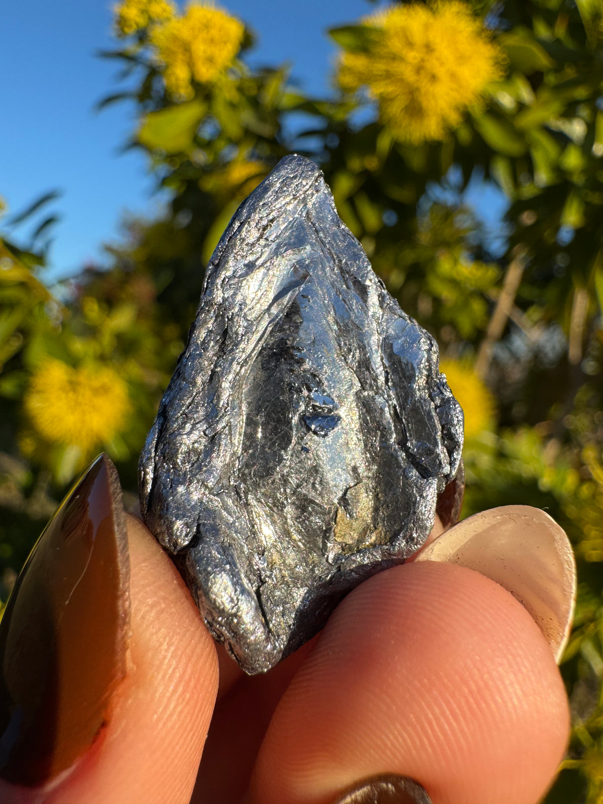 Kingsgate Molybdenite Collector Specimen