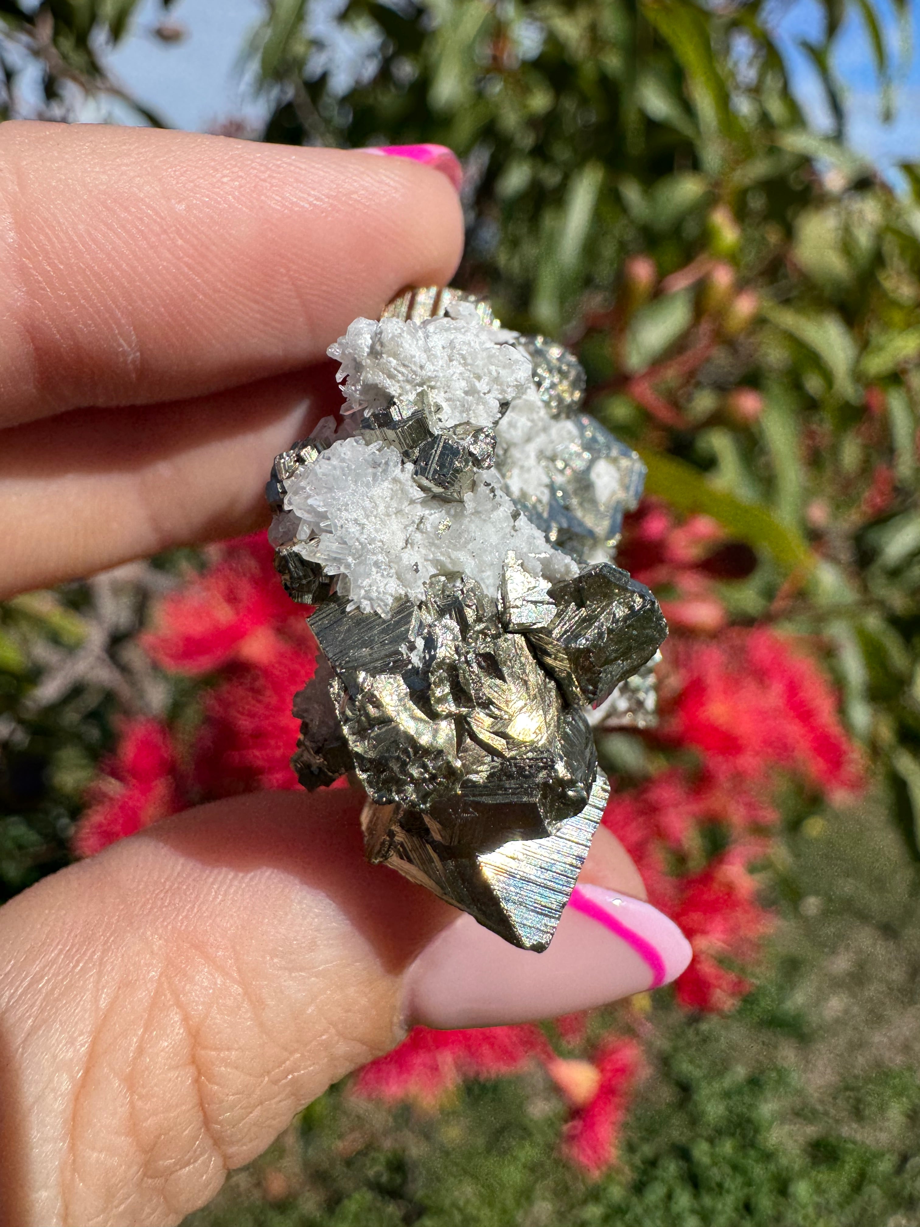Pyrite Cubes on Quartz Specimen