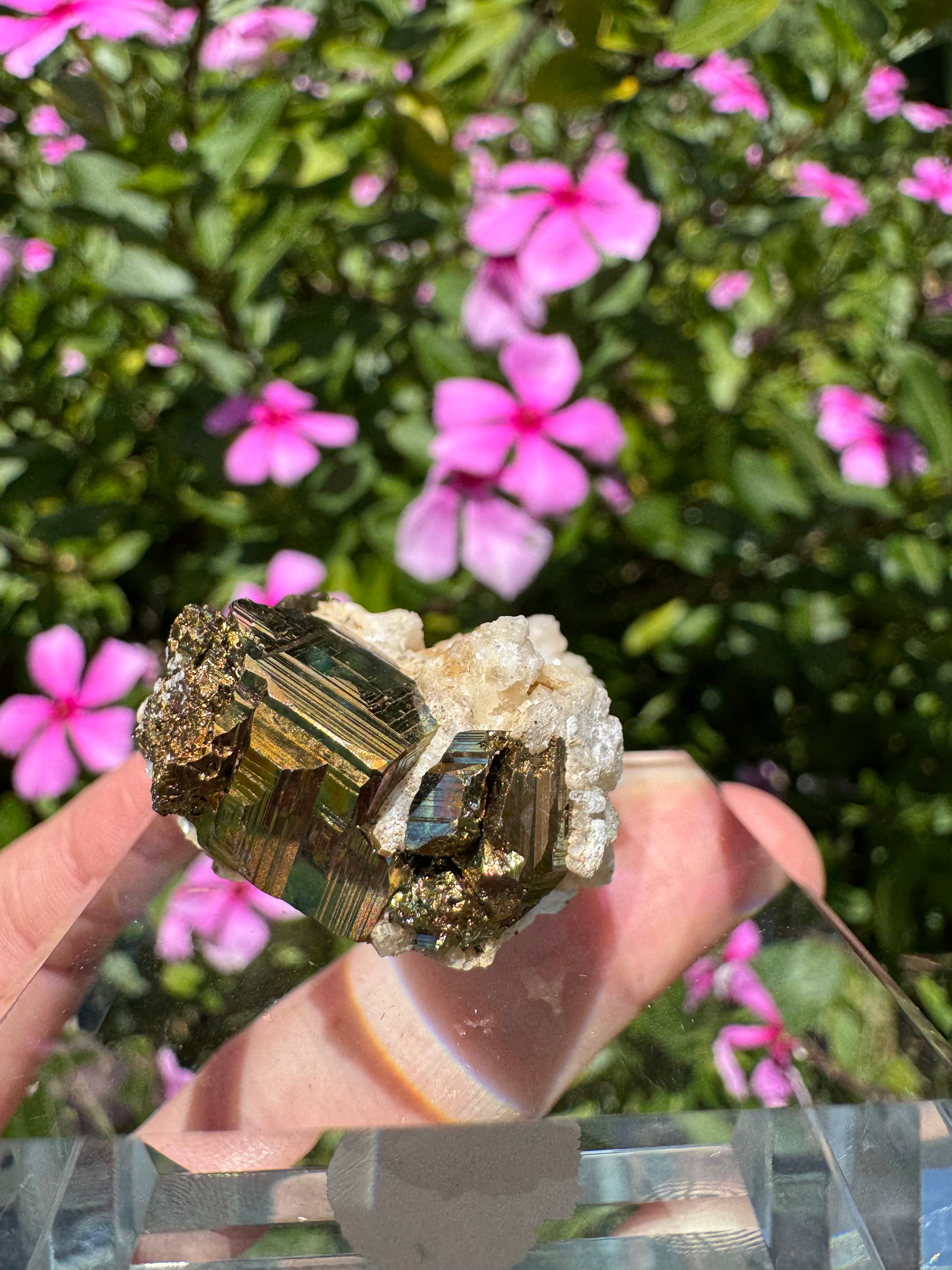 Iridescent Pyrite With Stilbite Cluster - A Grade