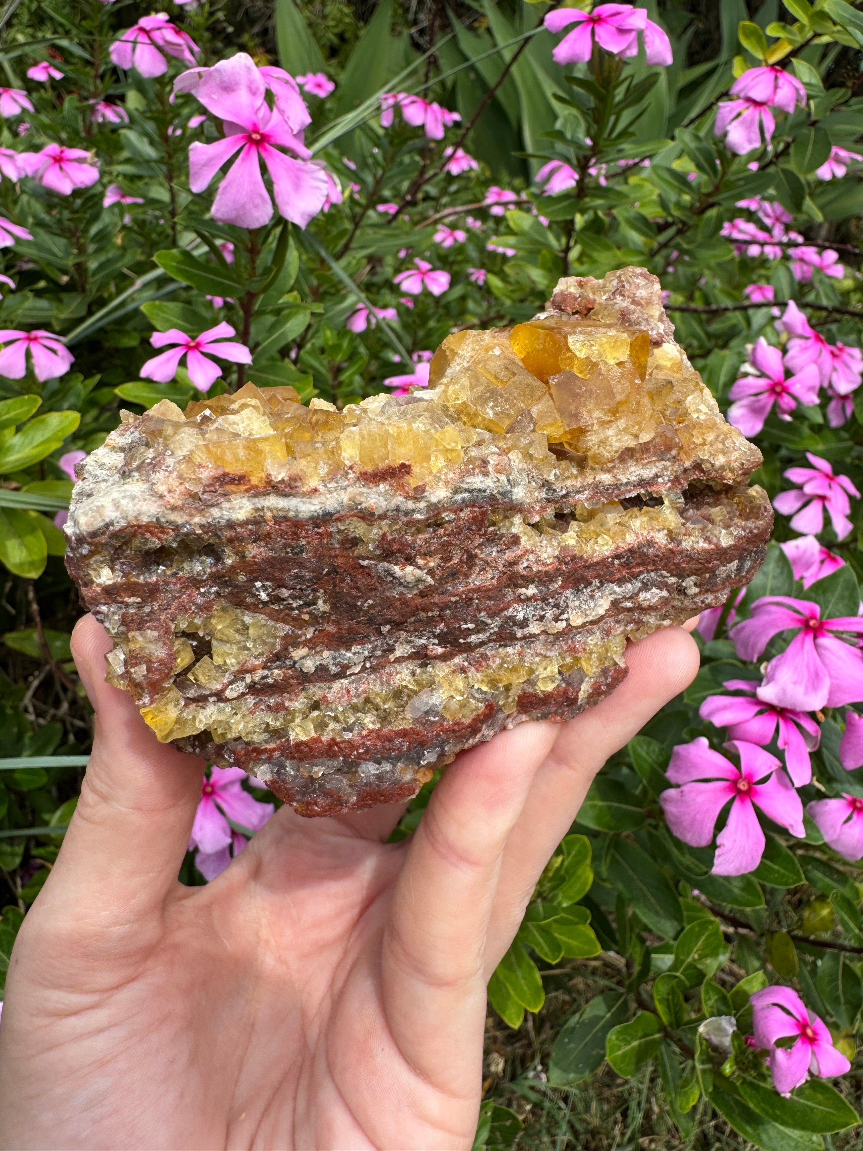 Yellow Cubic Fluorite on Iron-Stained Quartz Specimen