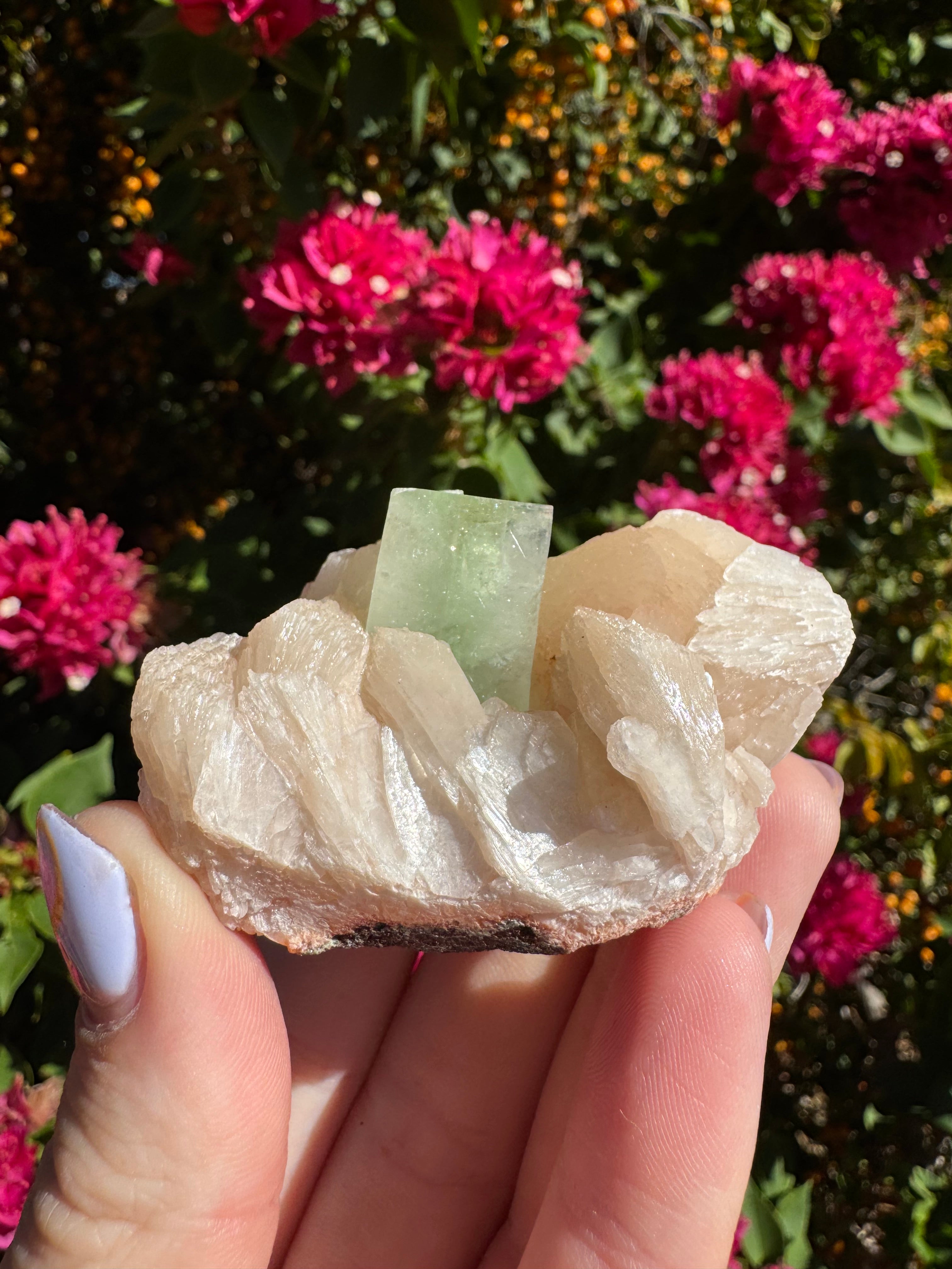 Green ‘Cube’ Apophyllite Specimen