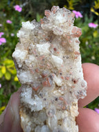 Hematite Quartz Specimen - Mt Isa