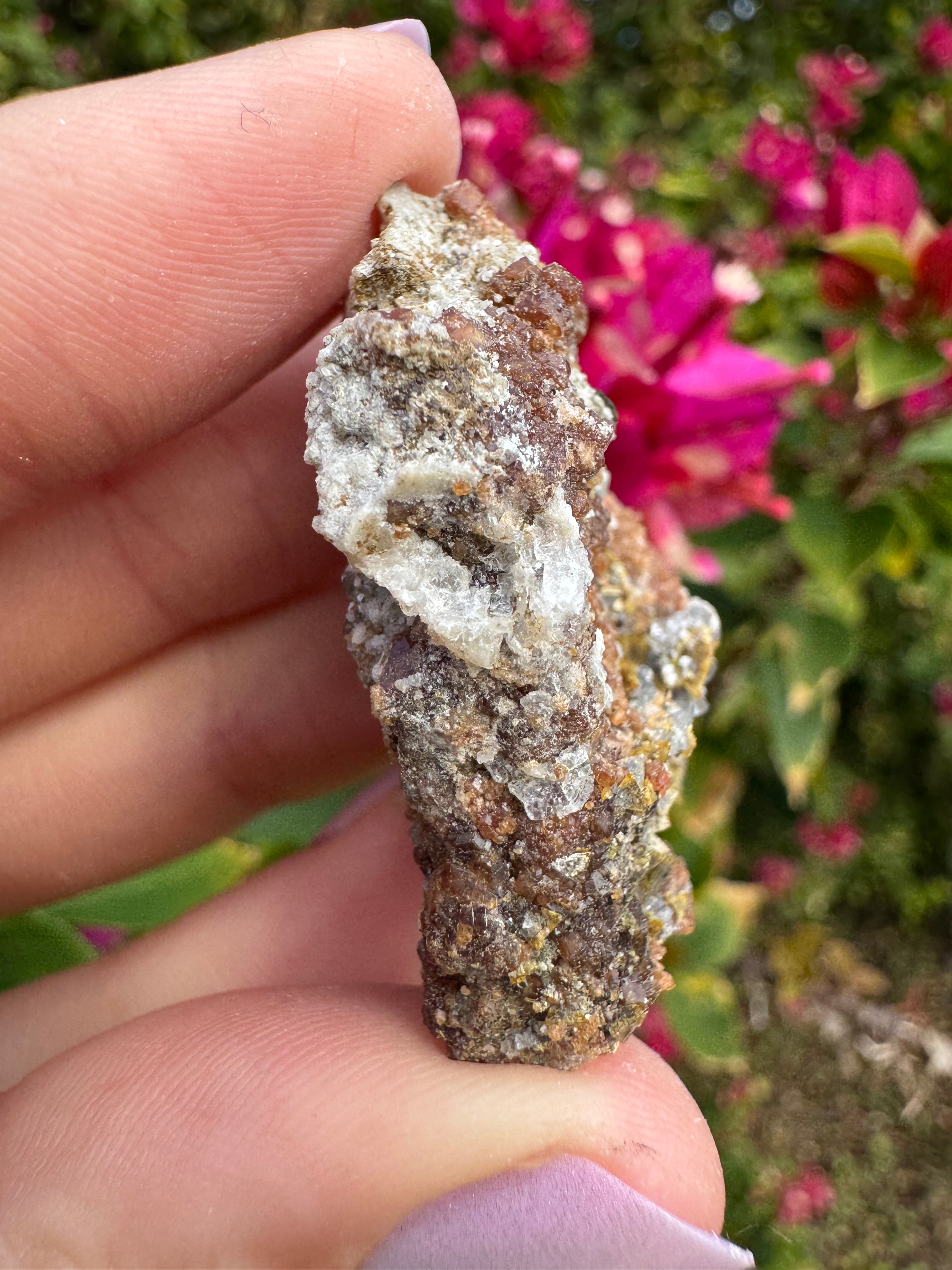 Octahedral Fluorite And Garnet Specimen