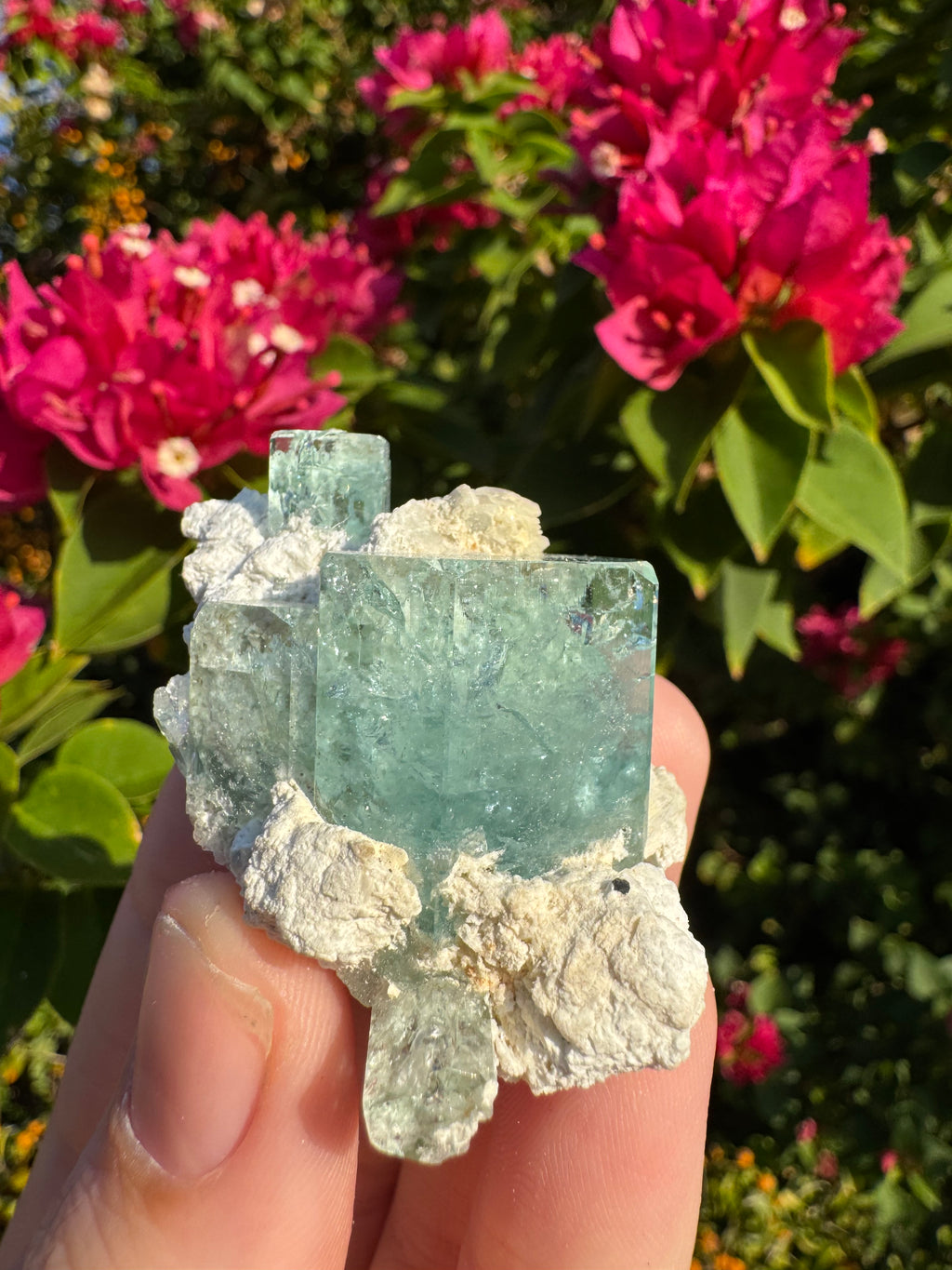 Eronga Aquamarine Specimen - High Quality