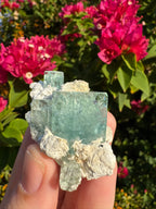 Eronga Aquamarine Specimen - High Quality