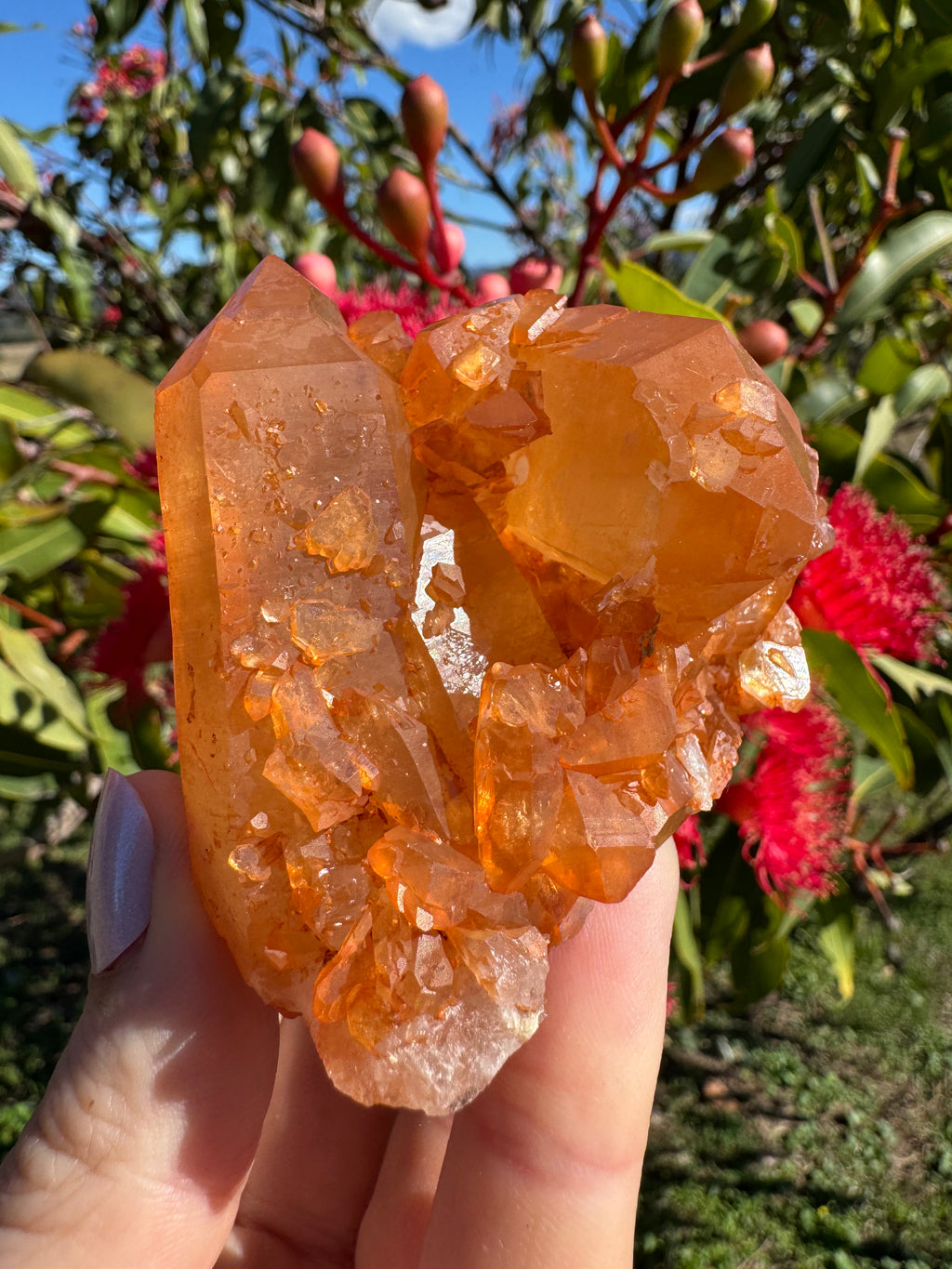 Tangerine Quartz Cluster