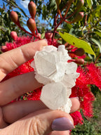 Himalayan Quartz Cluster