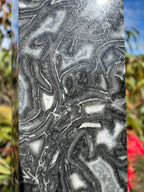 Black Crazy Lace Agate Generator