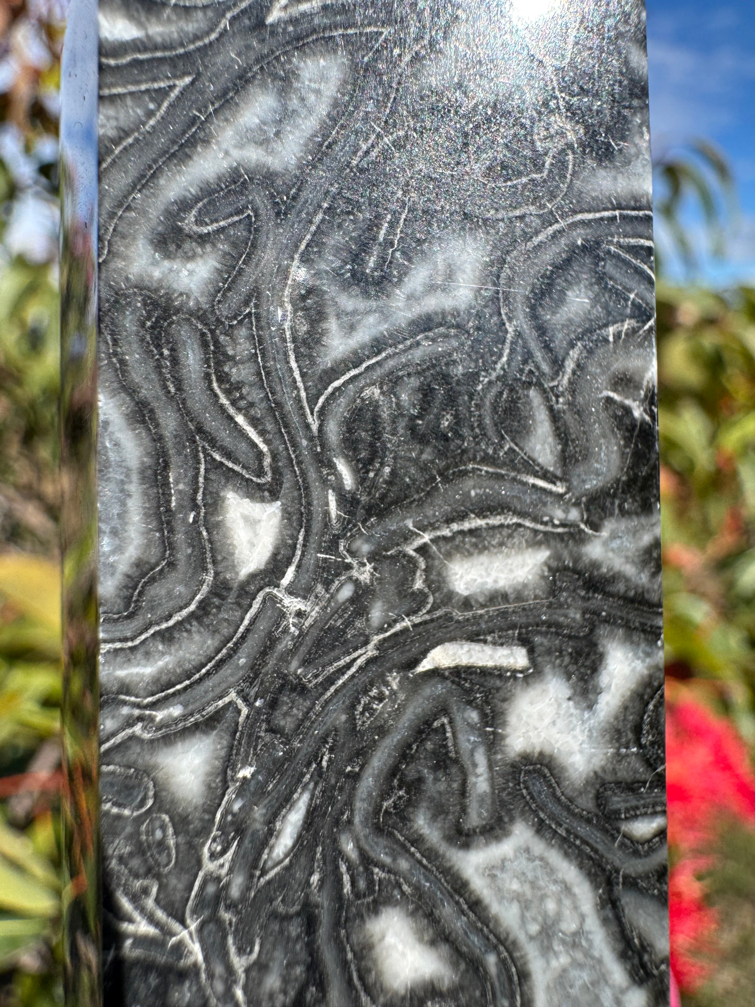Black Crazy Lace Agate Generator