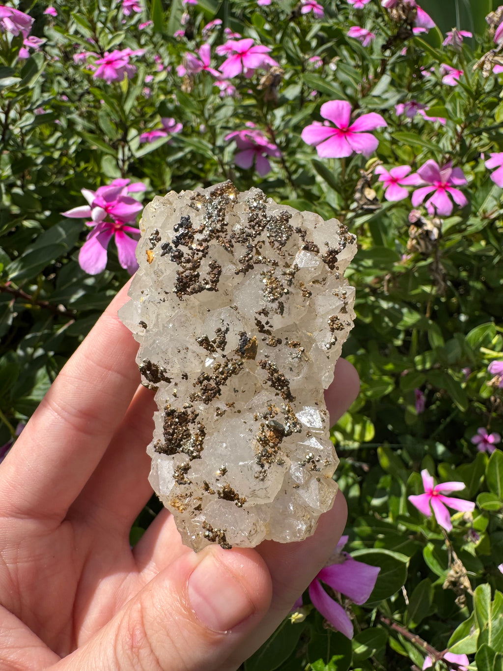 Pyrite on Quartz Specimen - High Quality