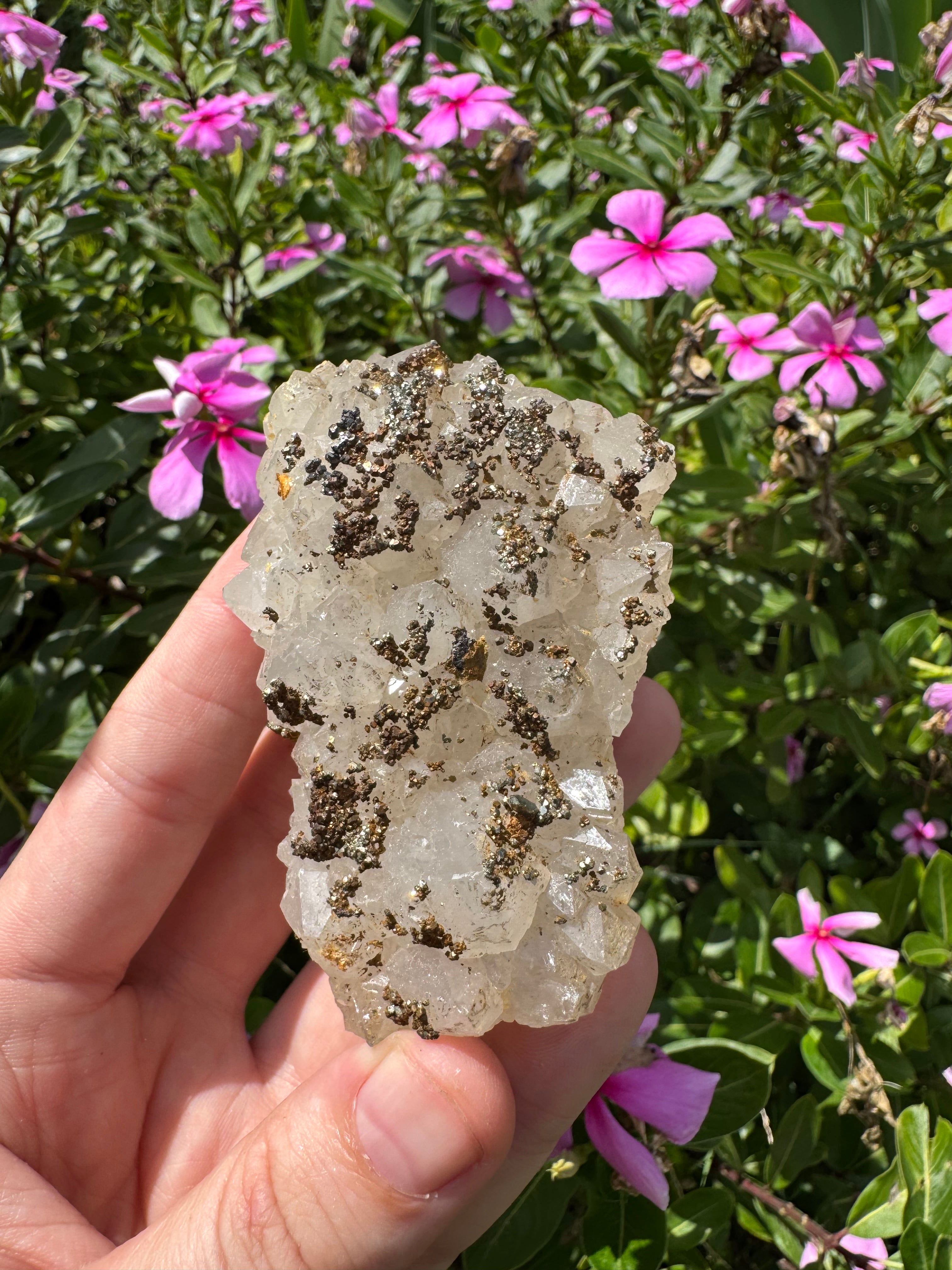 Pyrite on Quartz Specimen - High Quality