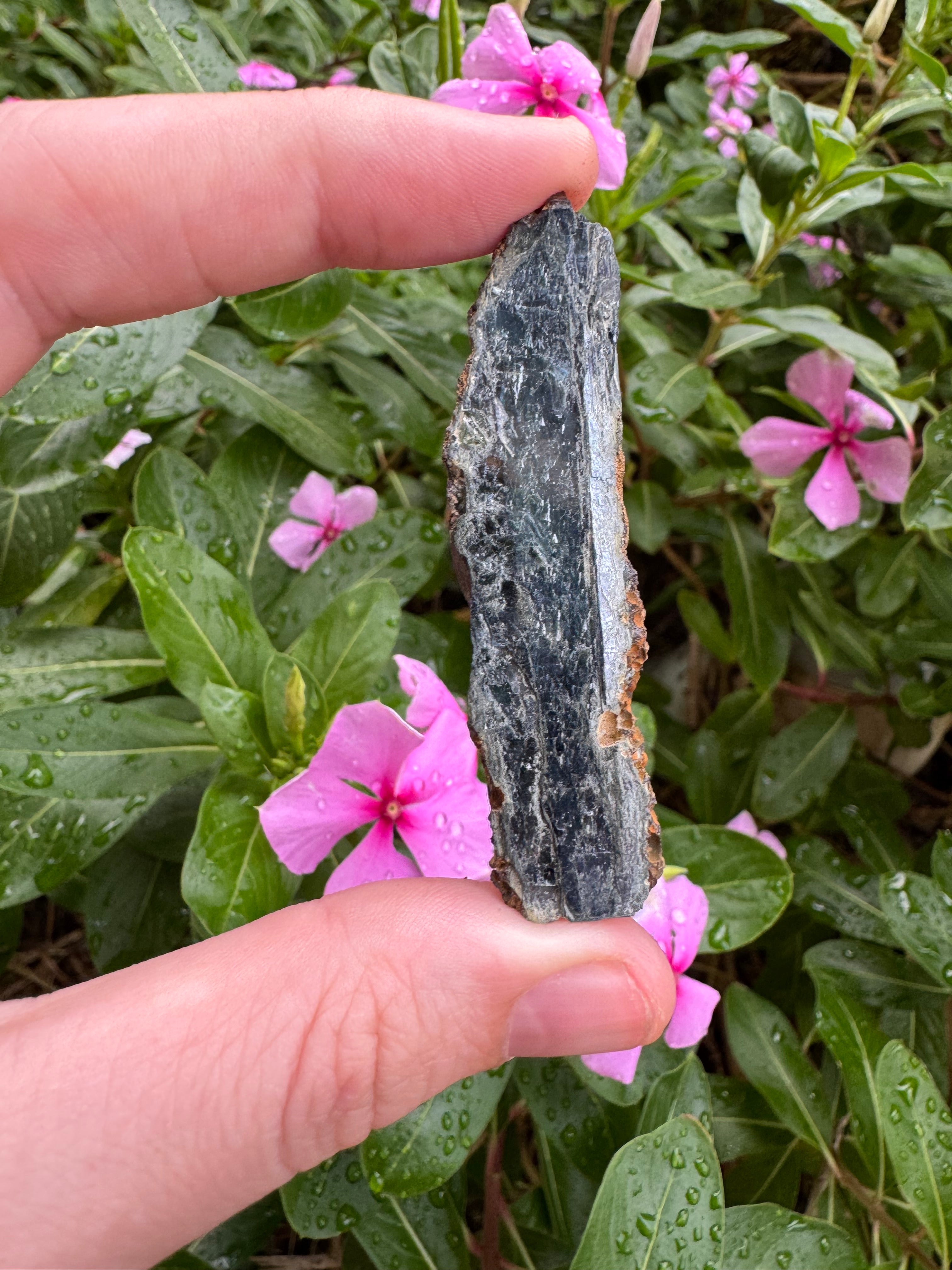 Vivianite Blade (12g)
