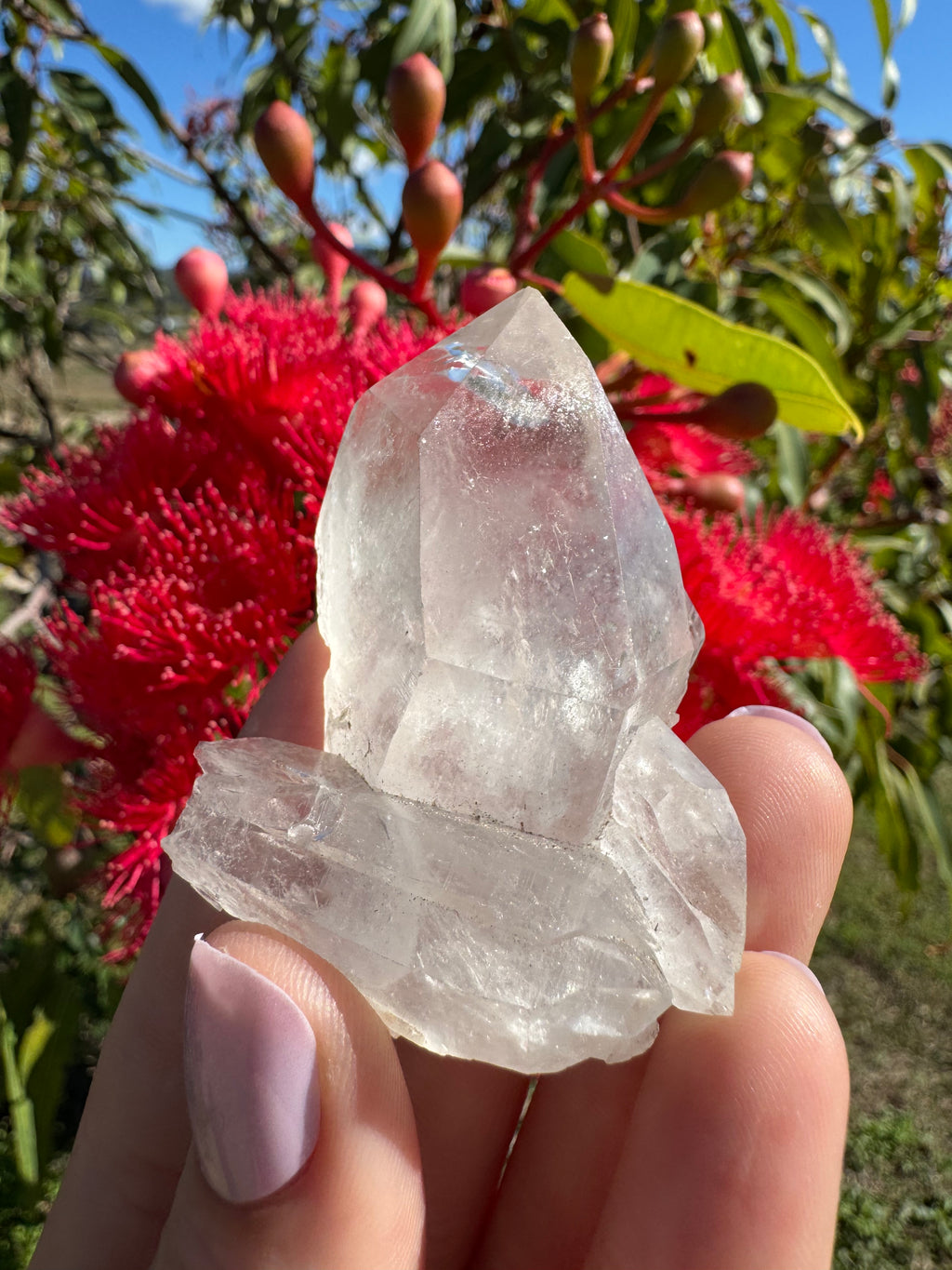 Himalayan Quartz Cluster