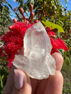 Himalayan Quartz Cluster