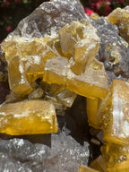 Golden Barite With Botryoidal Chocolate Calcite Specimen | 1.6kg