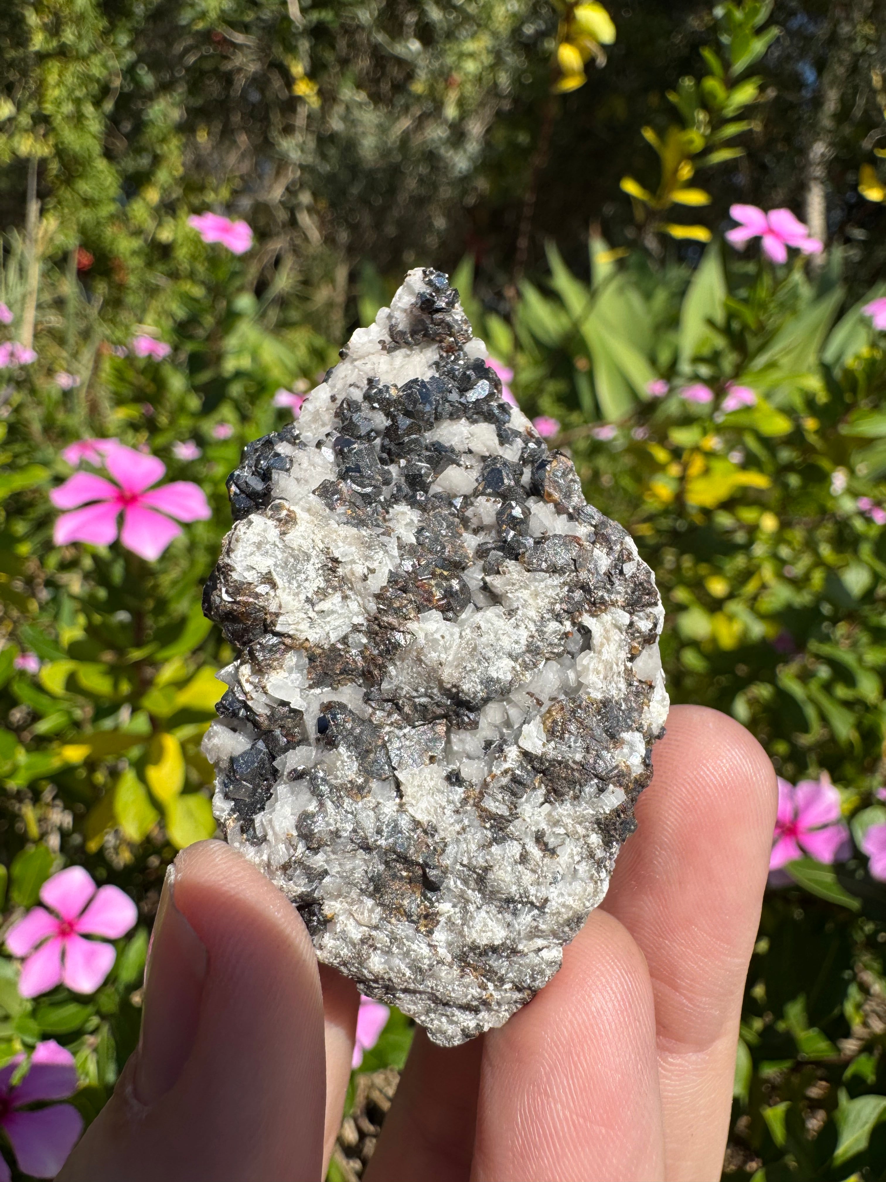 Galena On Quartz Specimen