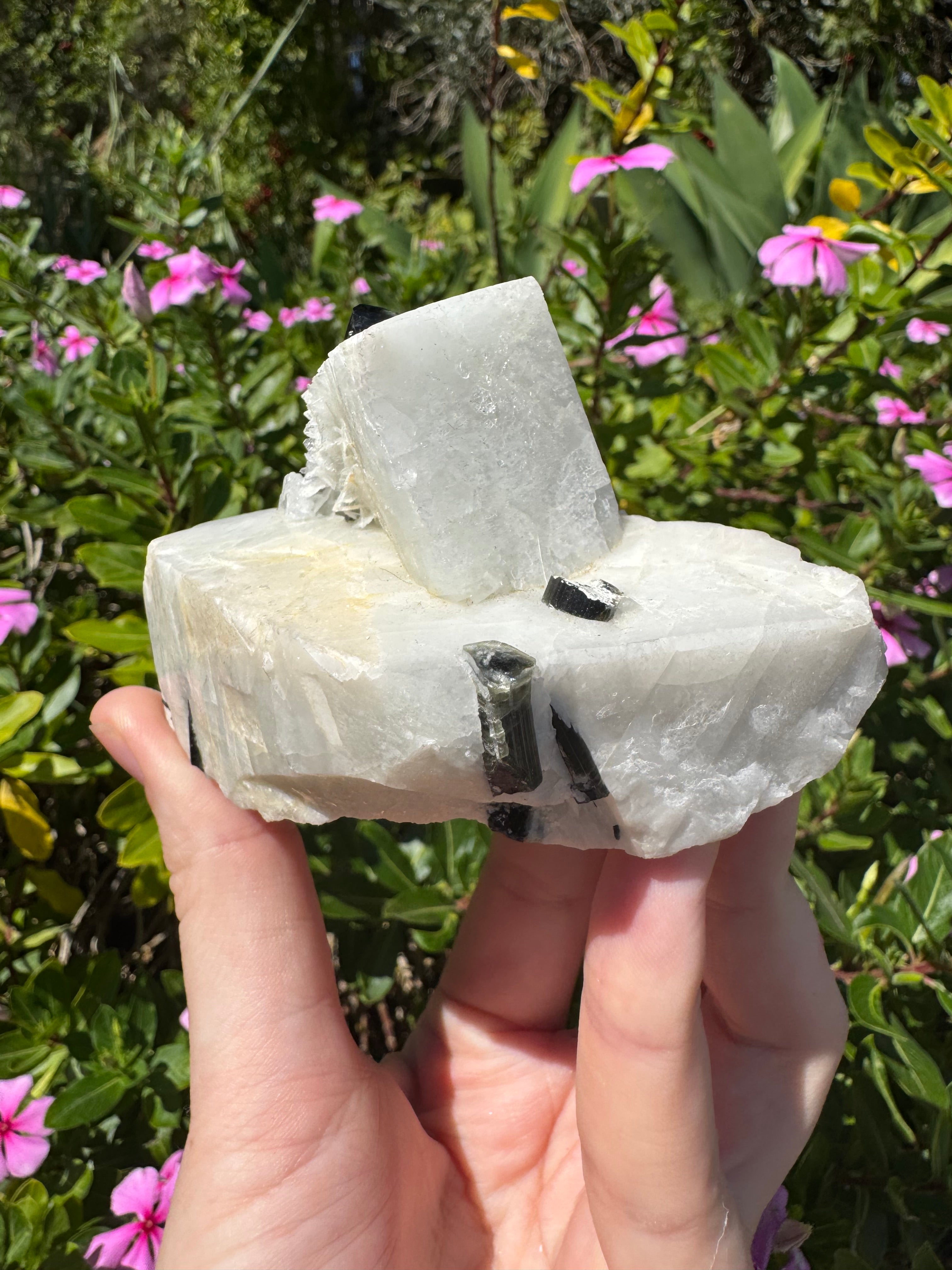 Black Tourmaline in Quartz Specimen