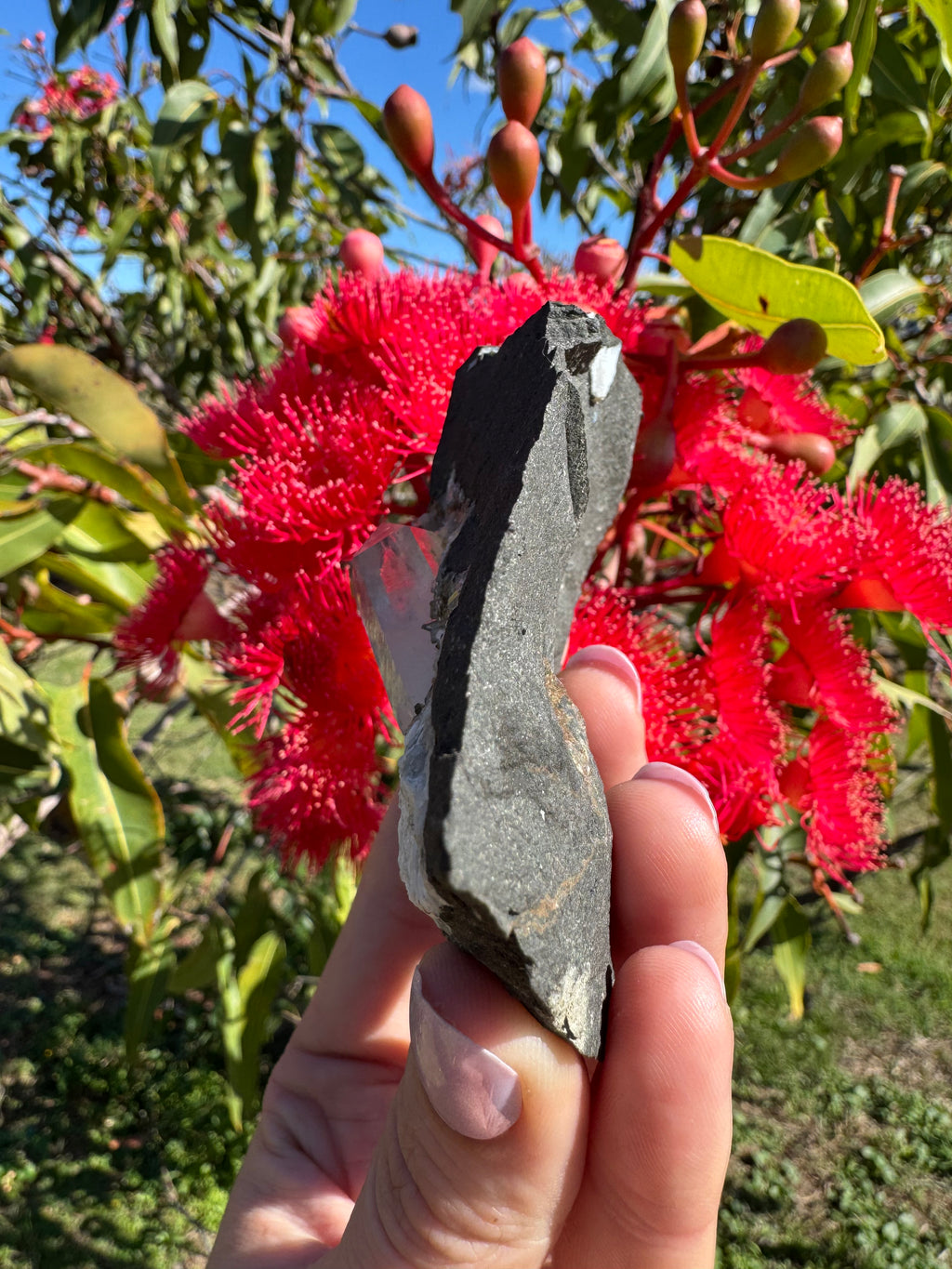 Amethyst Point in Basalt Matrix - Brandberg
